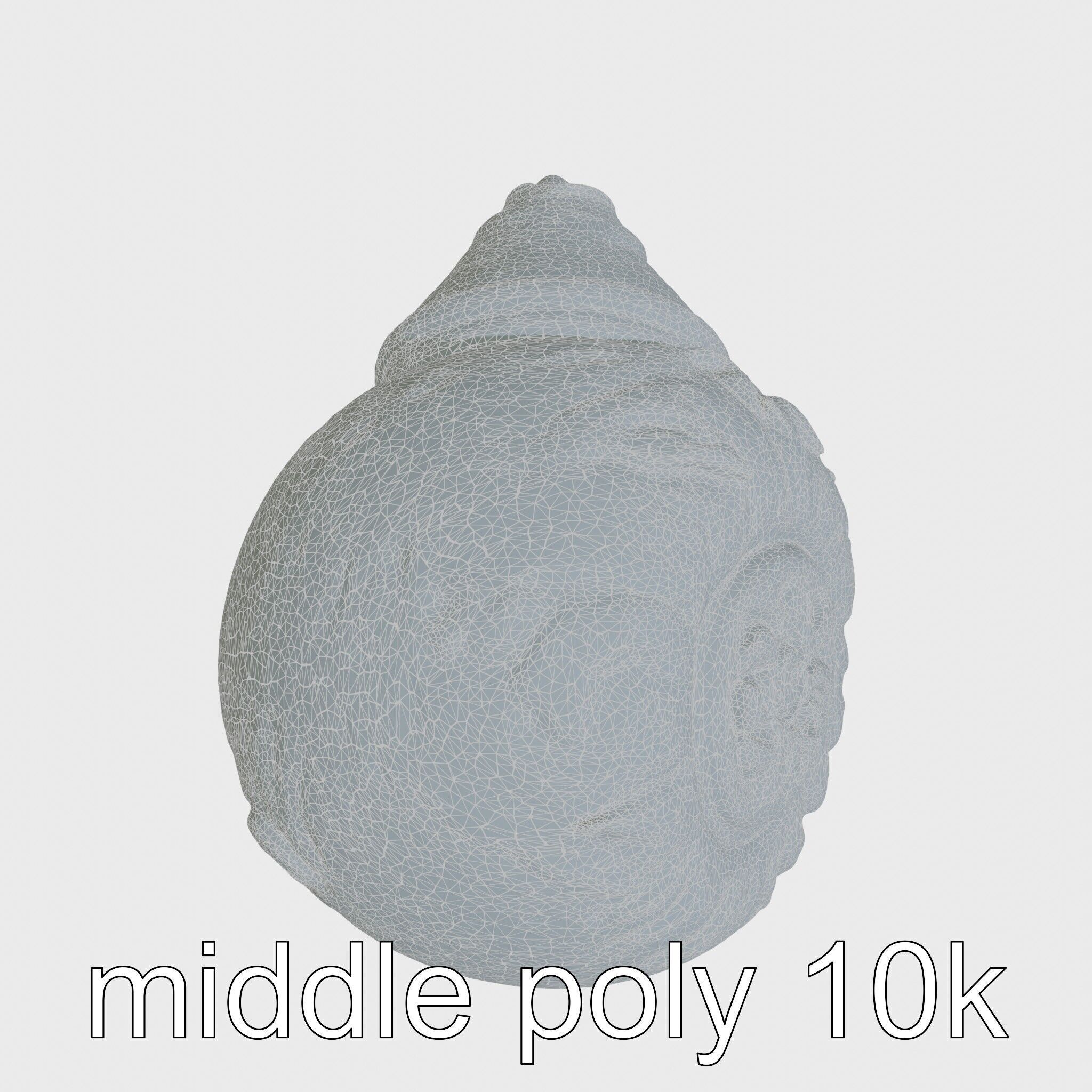 Chambered Nautilus Shell with Intricate Spirals 3D Model Low-poly 3D model_24