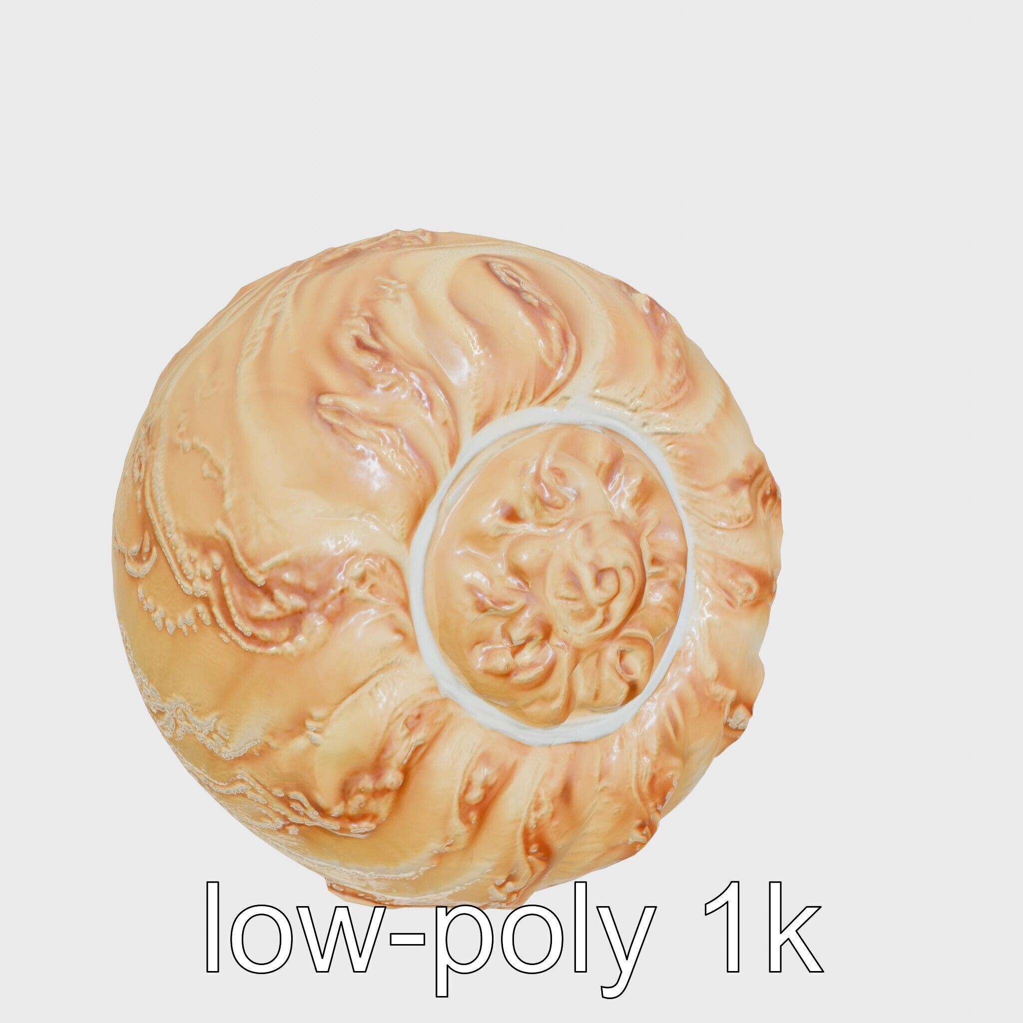 Chambered Nautilus Shell with Intricate Spirals 3D Model Low-poly 3D model_9