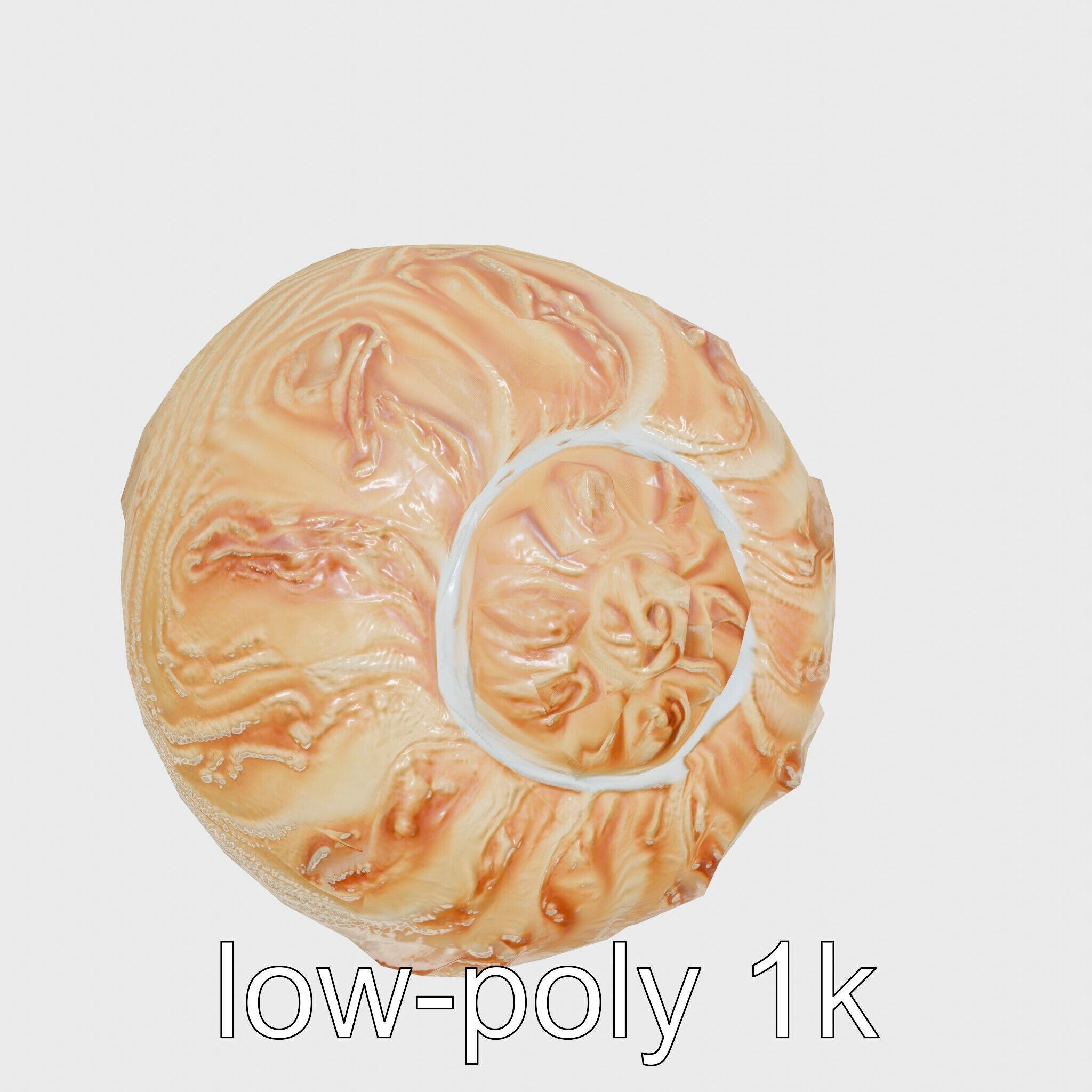 Chambered Nautilus Shell with Intricate Spirals 3D Model Low-poly 3D model_10