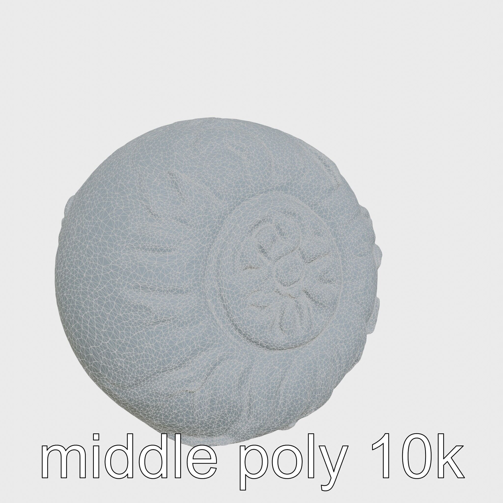 Chambered Nautilus Shell with Intricate Spirals 3D Model Low-poly 3D model_26