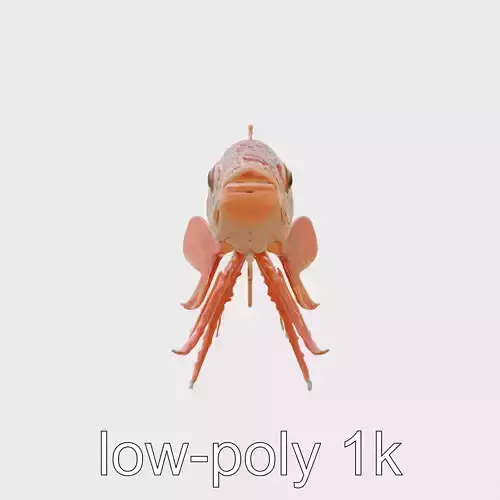 Red Handfish with Hand-Like Fins 3D Model Low-poly 3D model