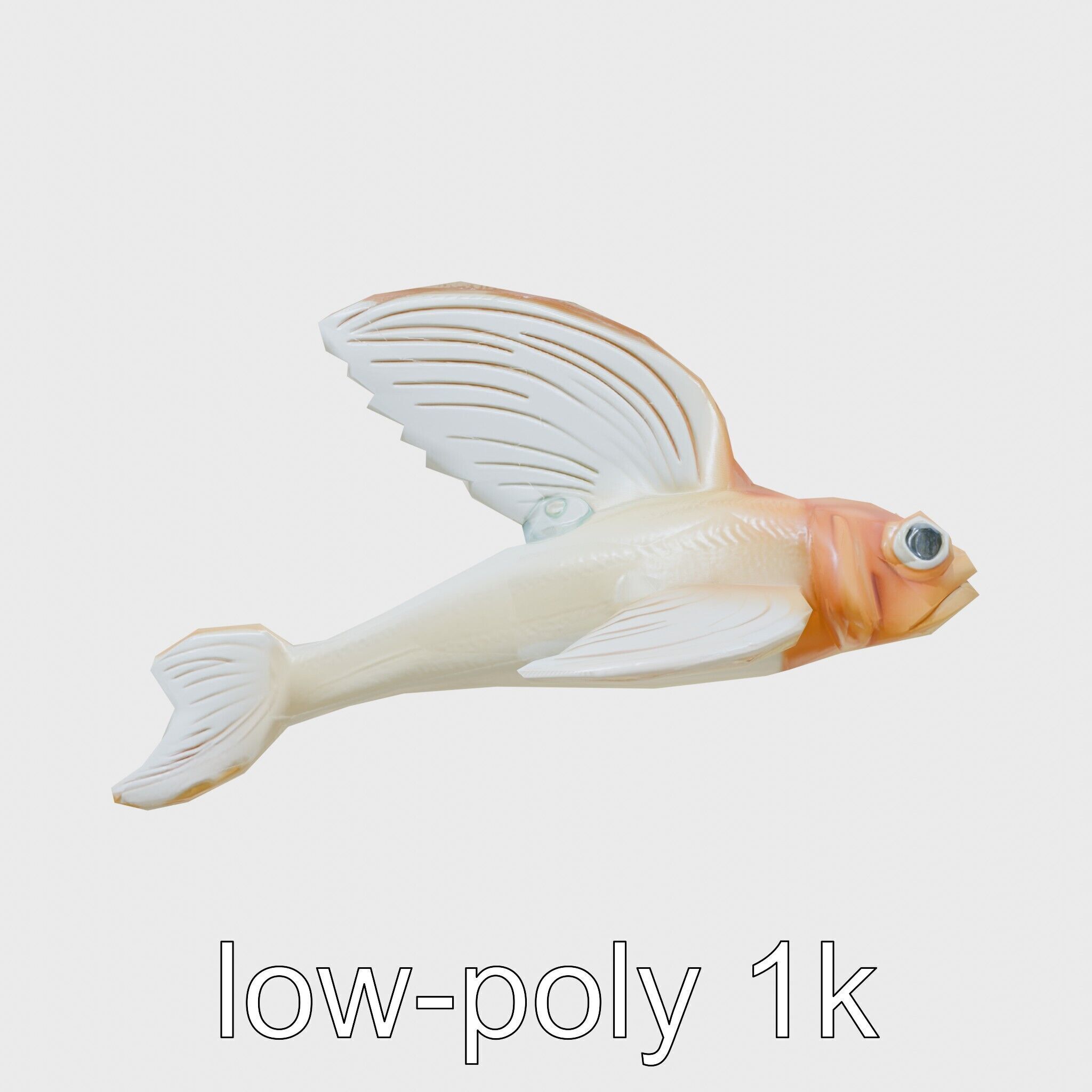 Sea Angel Model with Translucent Wing Design Low-poly 3D model_24