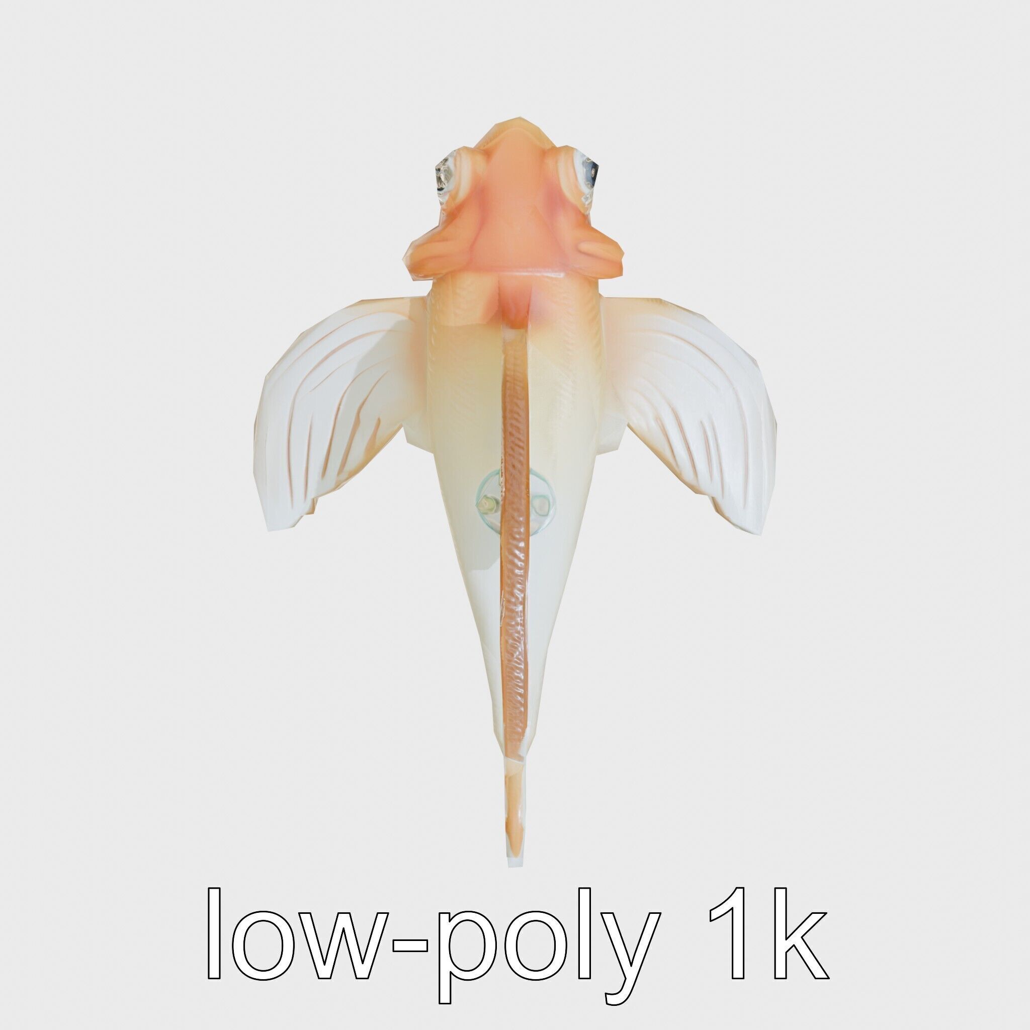 Sea Angel Model with Translucent Wing Design Low-poly 3D model_20