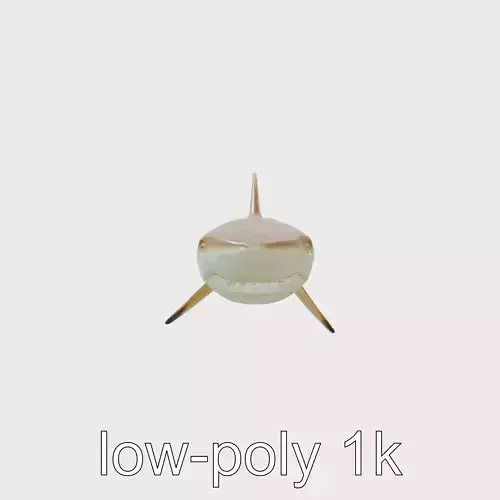 Sawshark Model with Saw-like Snout and Detailed Texture Low-poly 3D model