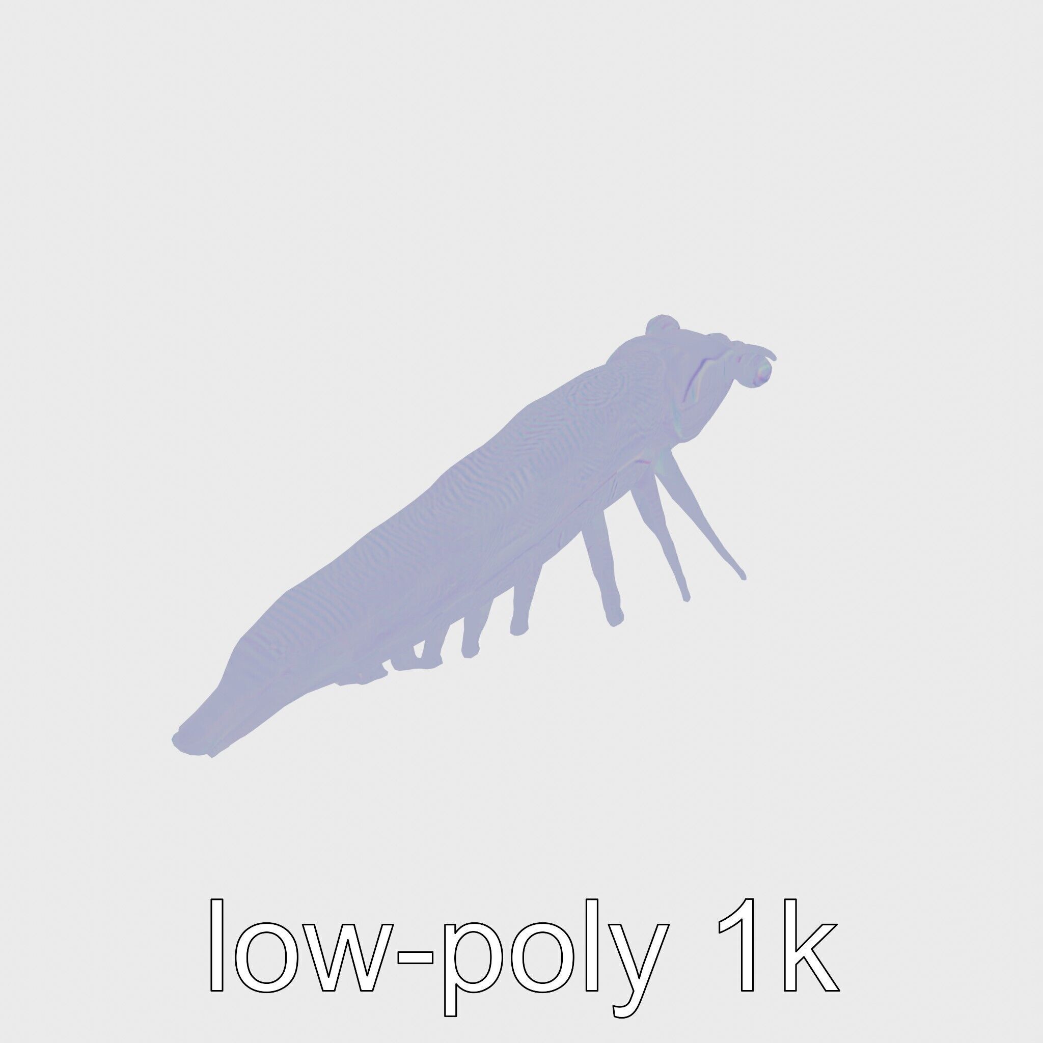 Colorful Marine Flatworm Model with Sensory Tentacles Low-poly 3D model_19