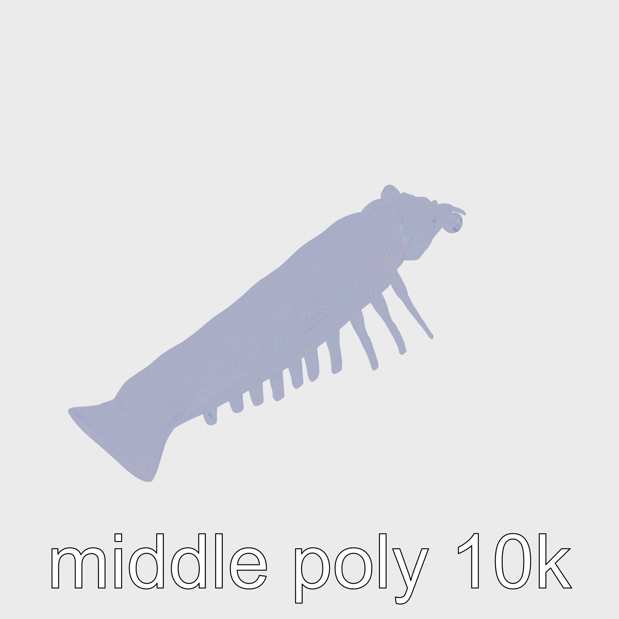 Colorful Marine Flatworm Model with Sensory Tentacles Low-poly 3D model_25