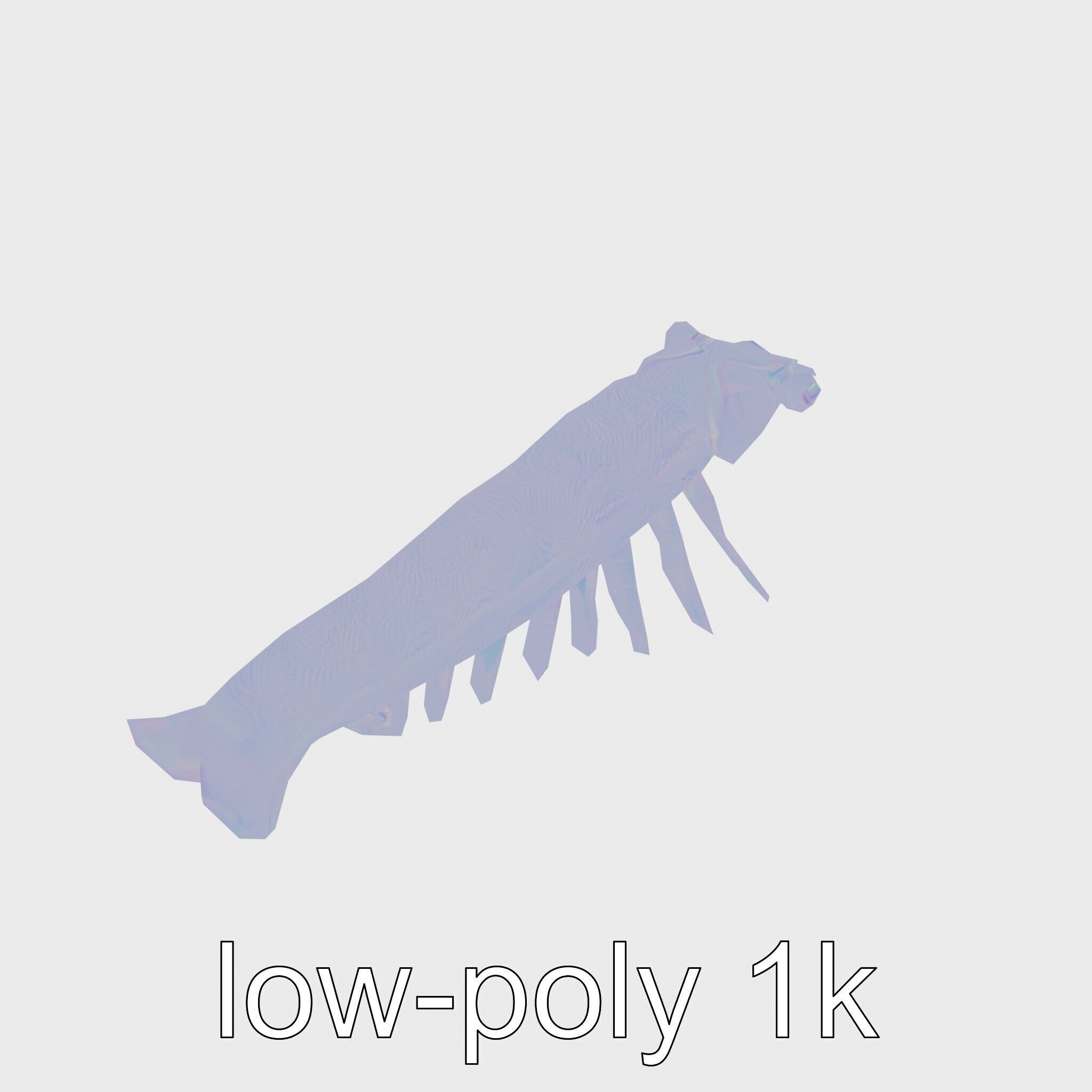 Colorful Marine Flatworm Model with Sensory Tentacles Low-poly 3D model_15