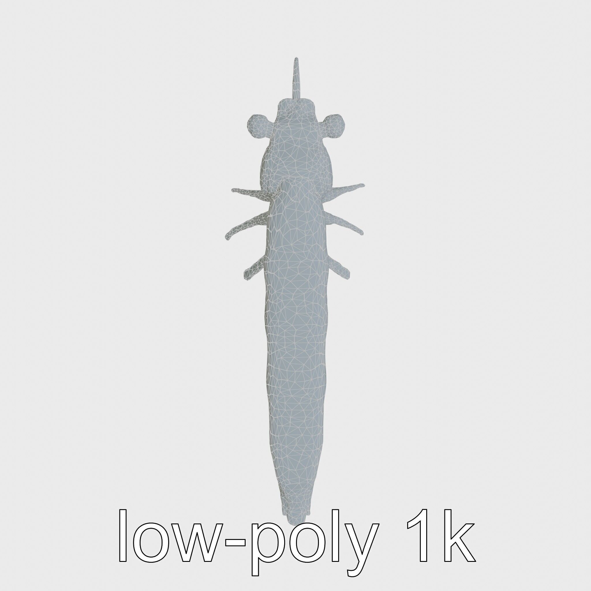 Colorful Marine Flatworm Model with Sensory Tentacles Low-poly 3D model_11