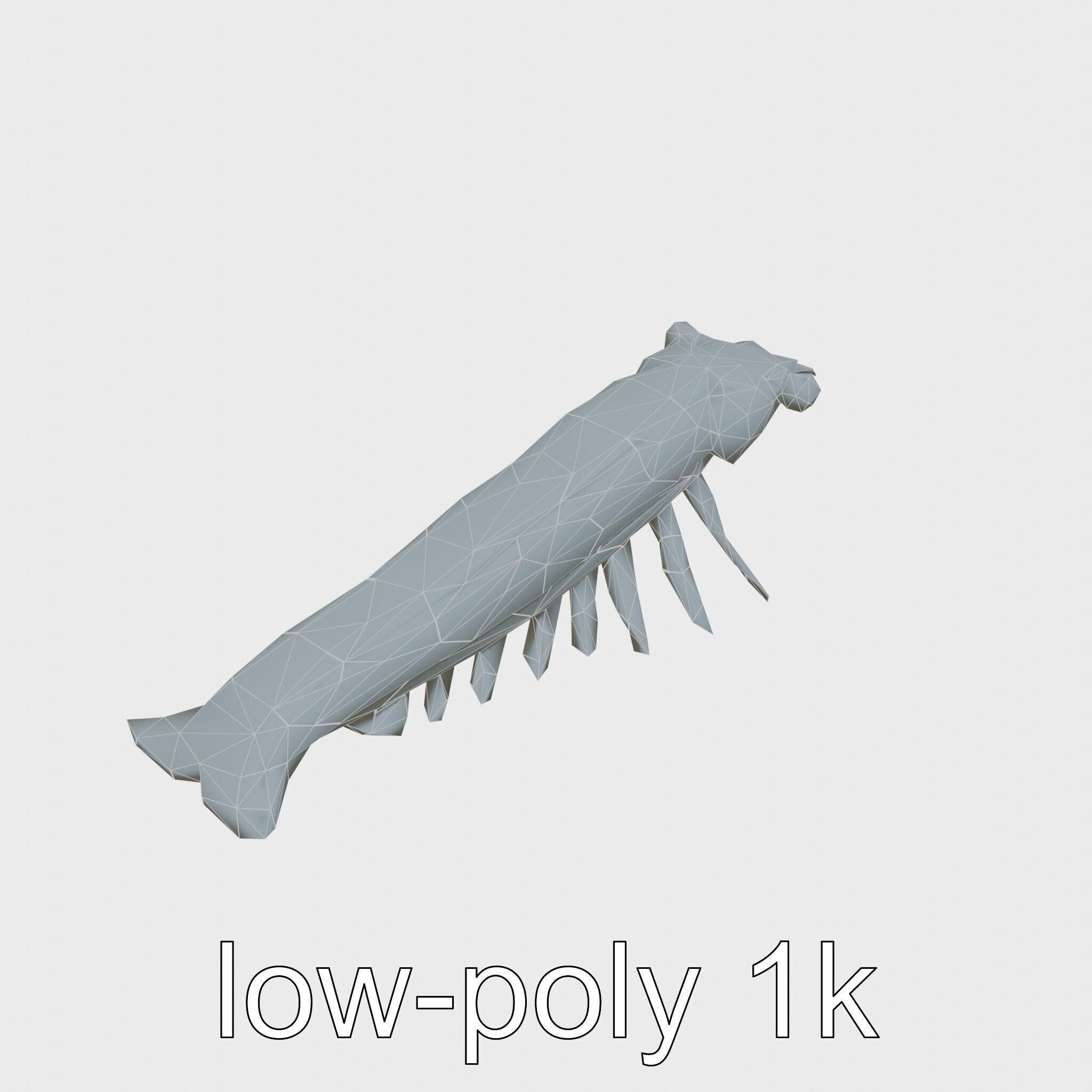 Colorful Marine Flatworm Model with Sensory Tentacles Low-poly 3D model_24