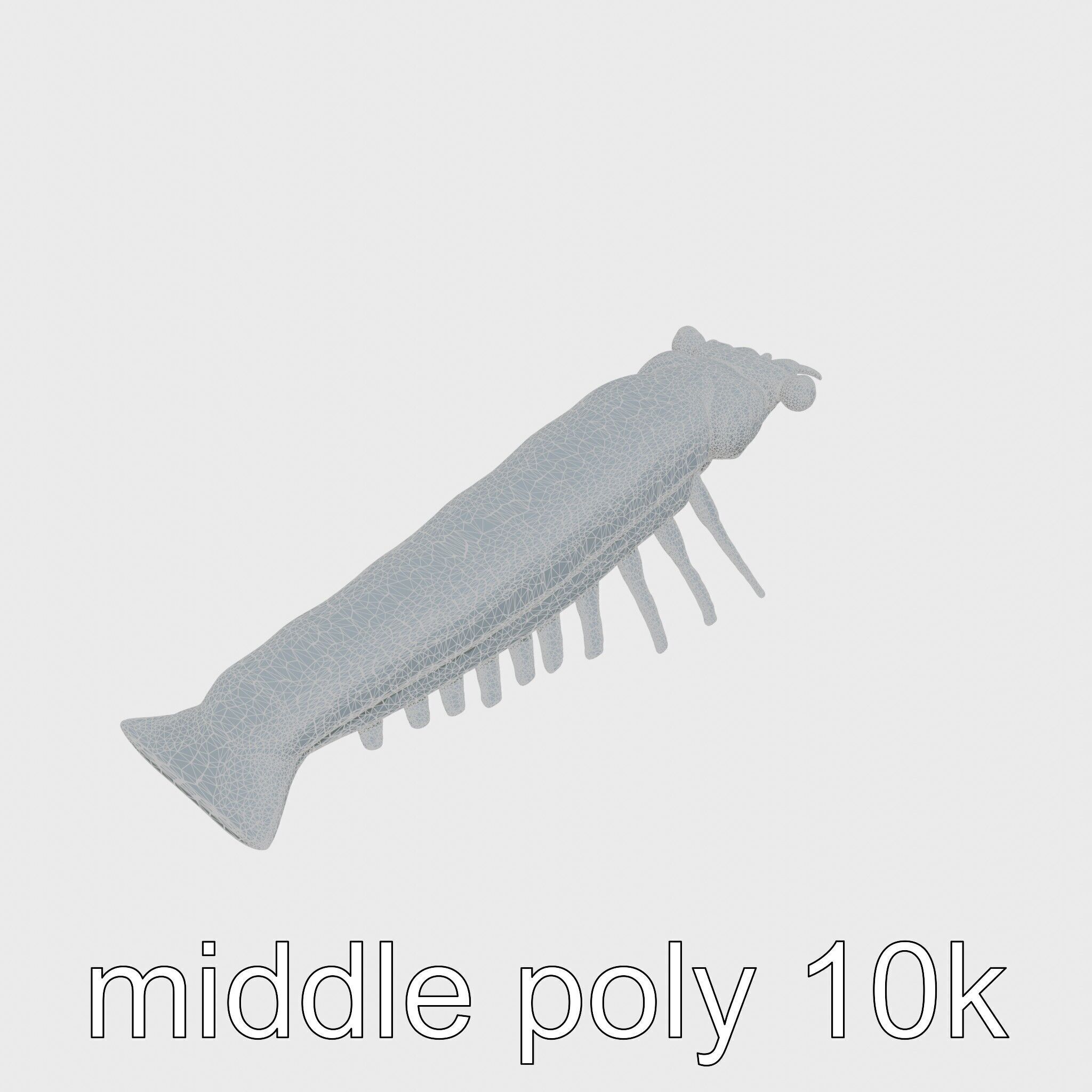 Colorful Marine Flatworm Model with Sensory Tentacles Low-poly 3D model_14