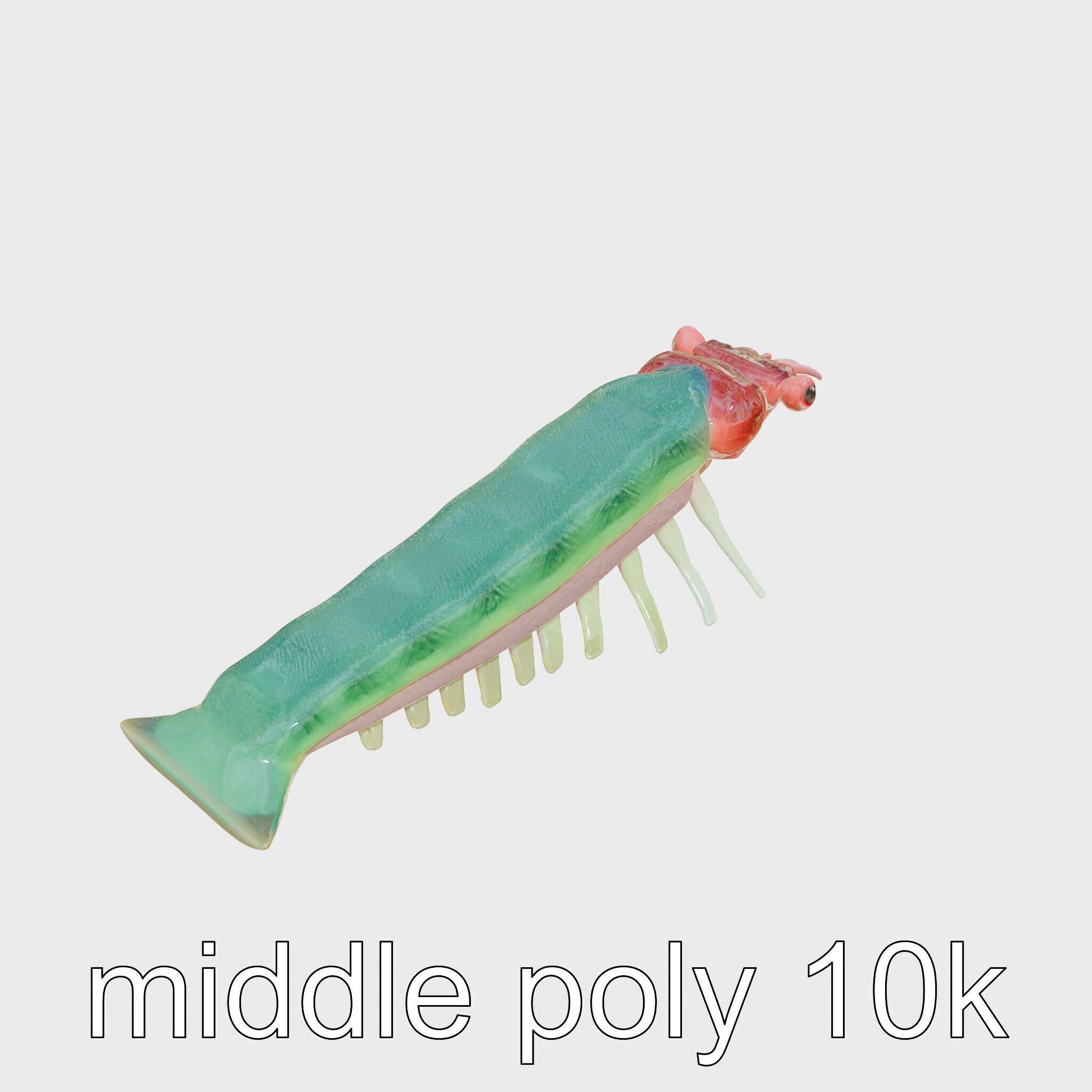 Colorful Marine Flatworm Model with Sensory Tentacles Low-poly 3D model_29