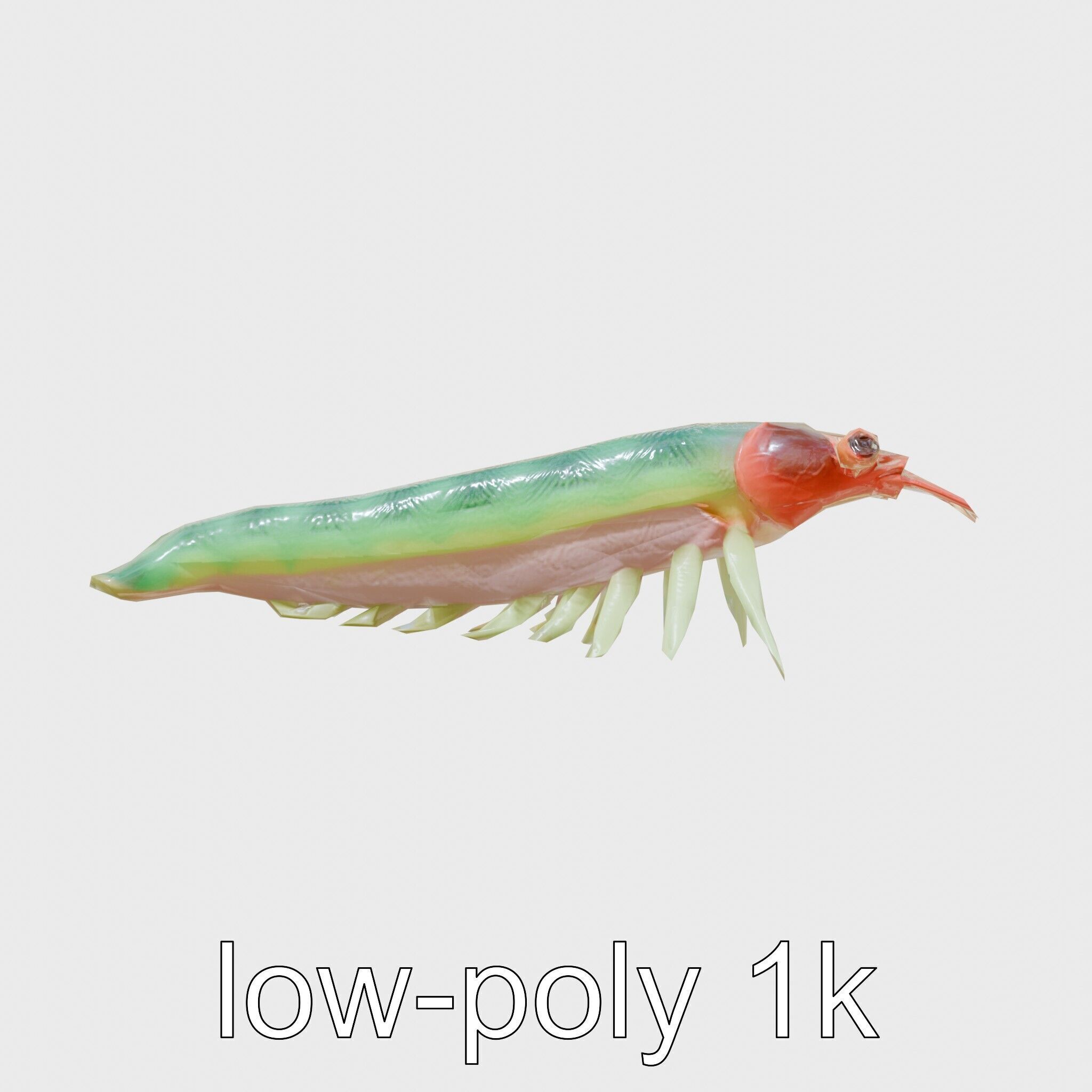 Colorful Marine Flatworm Model with Sensory Tentacles Low-poly 3D model_7