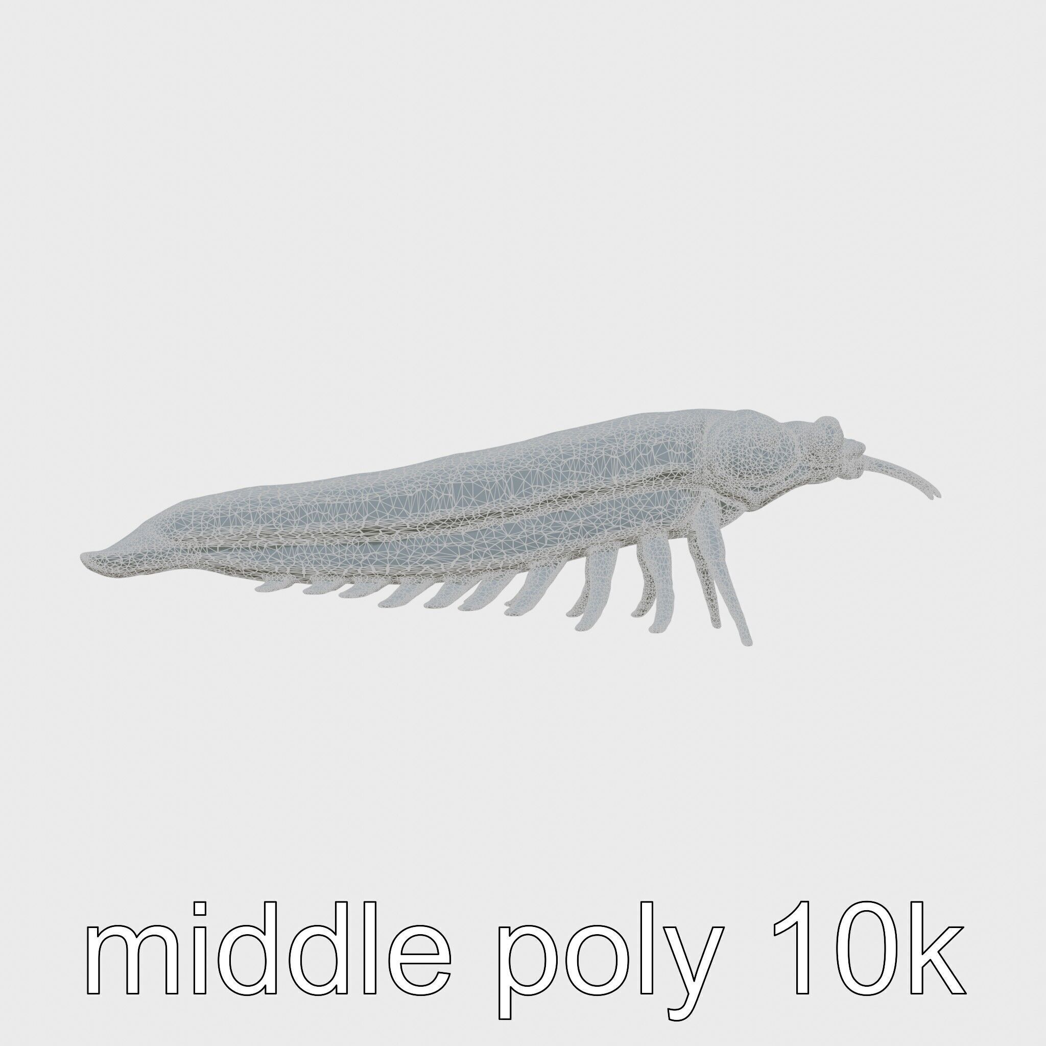 Colorful Marine Flatworm Model with Sensory Tentacles Low-poly 3D model_8