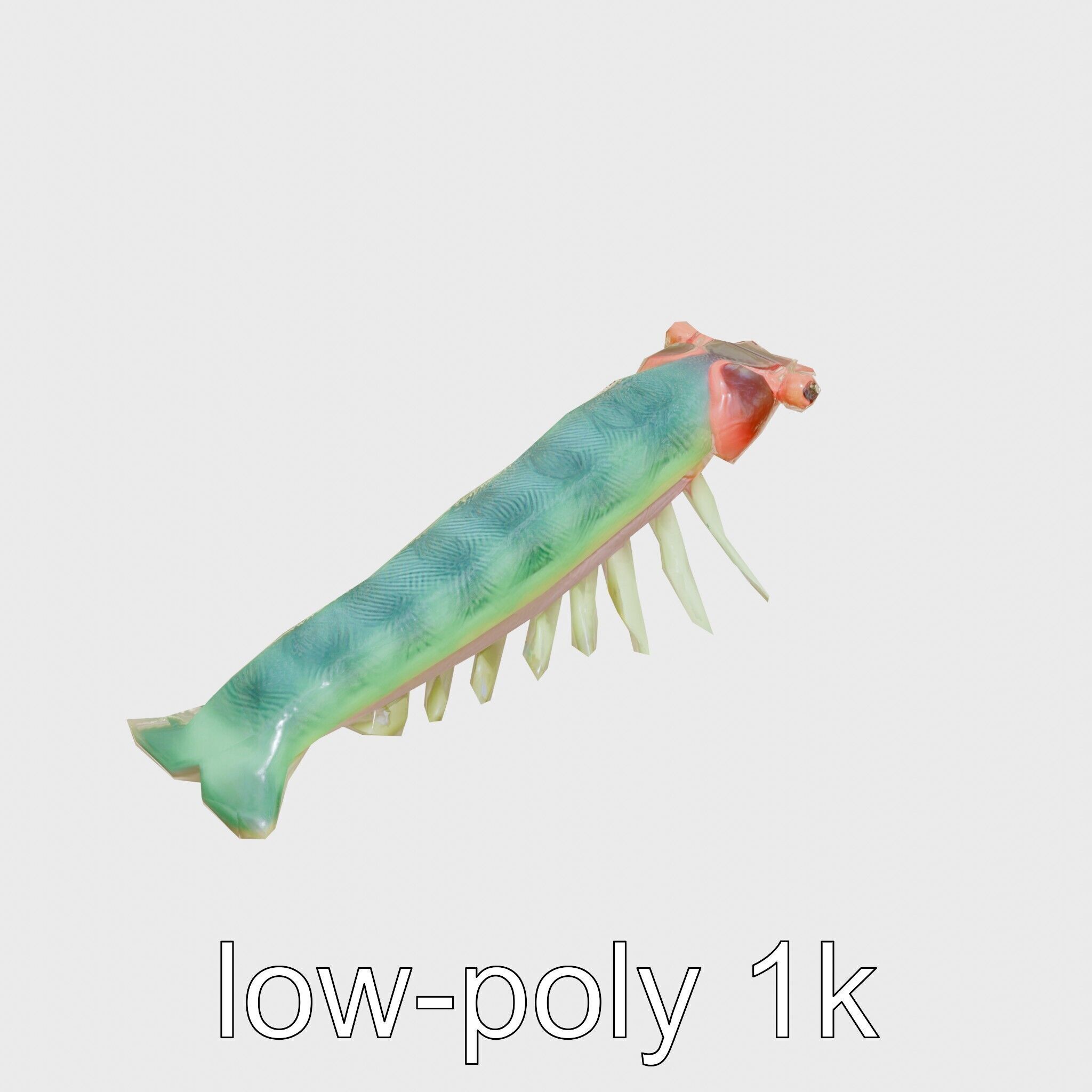 Colorful Marine Flatworm Model with Sensory Tentacles Low-poly 3D model_13