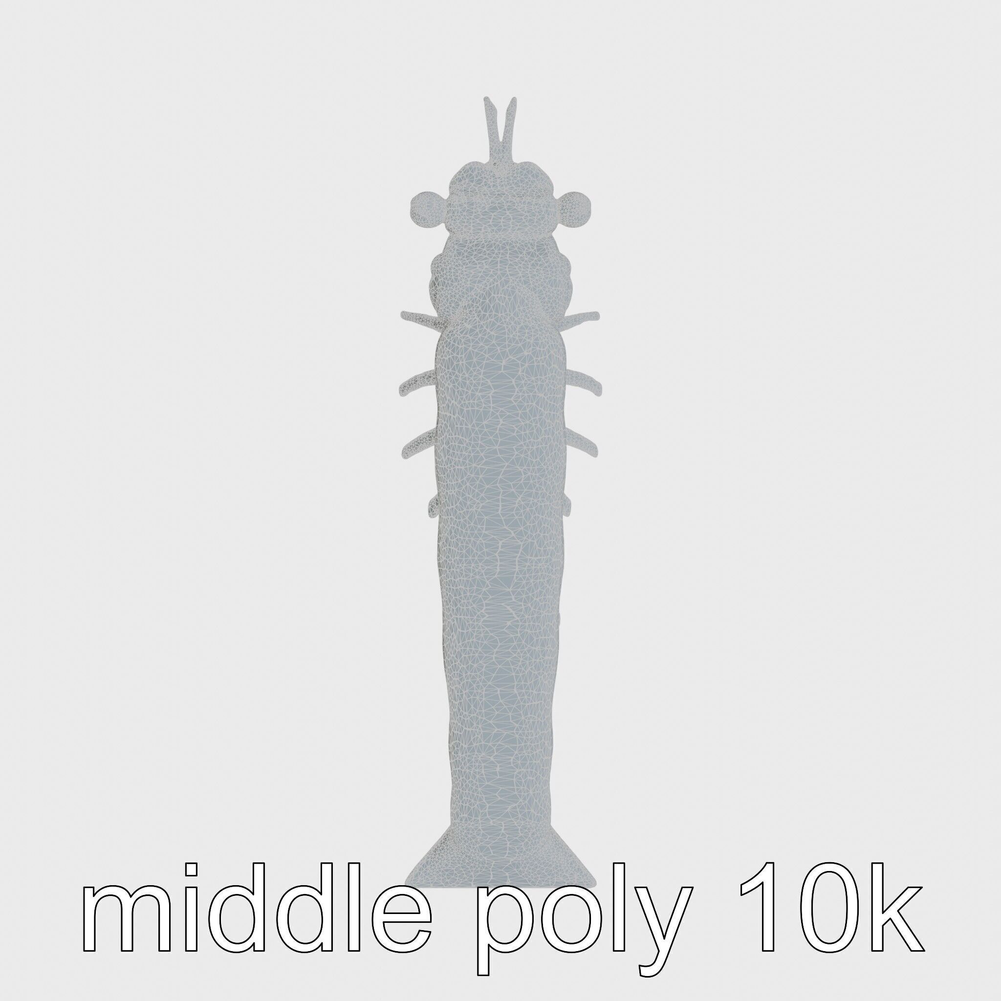 Colorful Marine Flatworm Model with Sensory Tentacles Low-poly 3D model_22