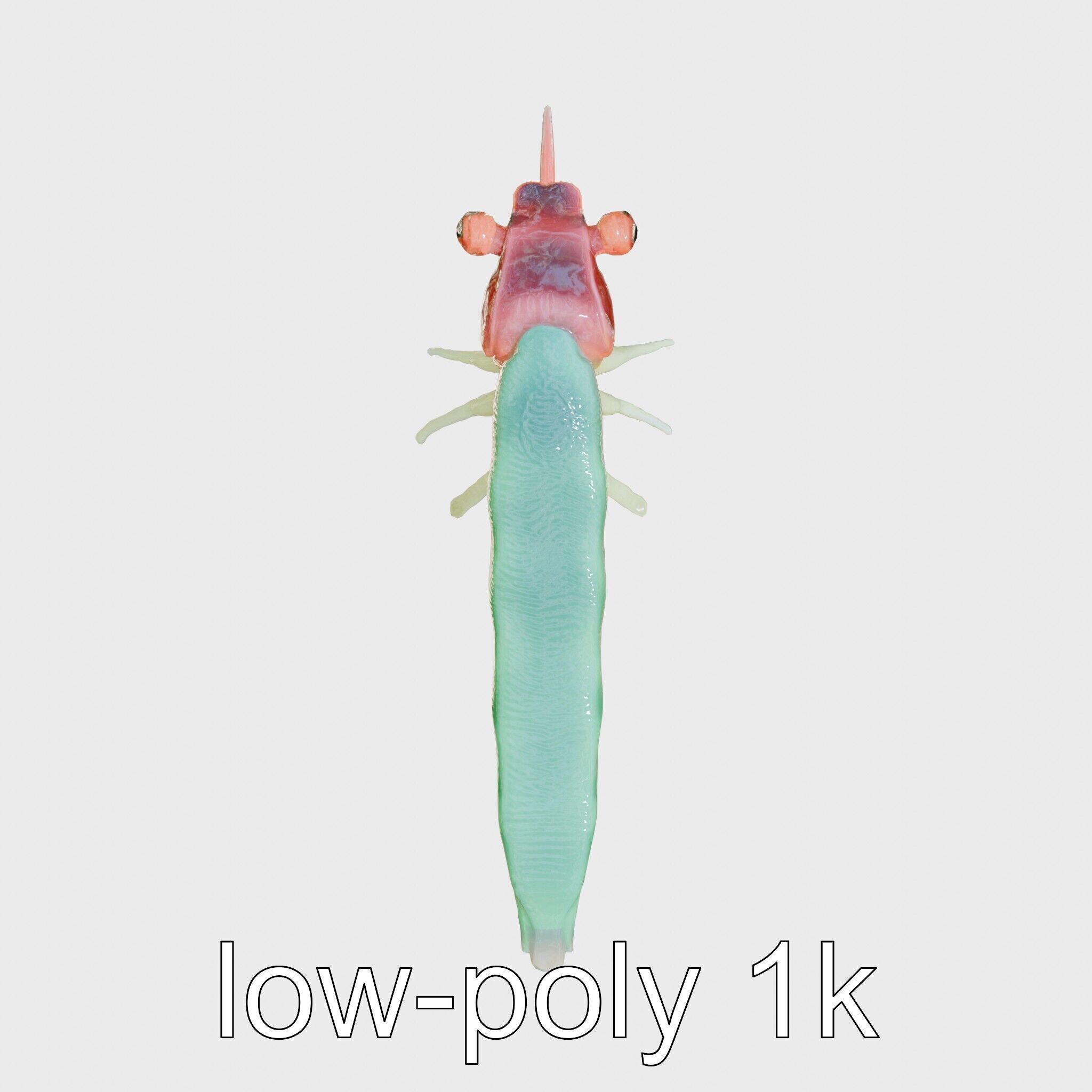 Colorful Marine Flatworm Model with Sensory Tentacles Low-poly 3D model_17