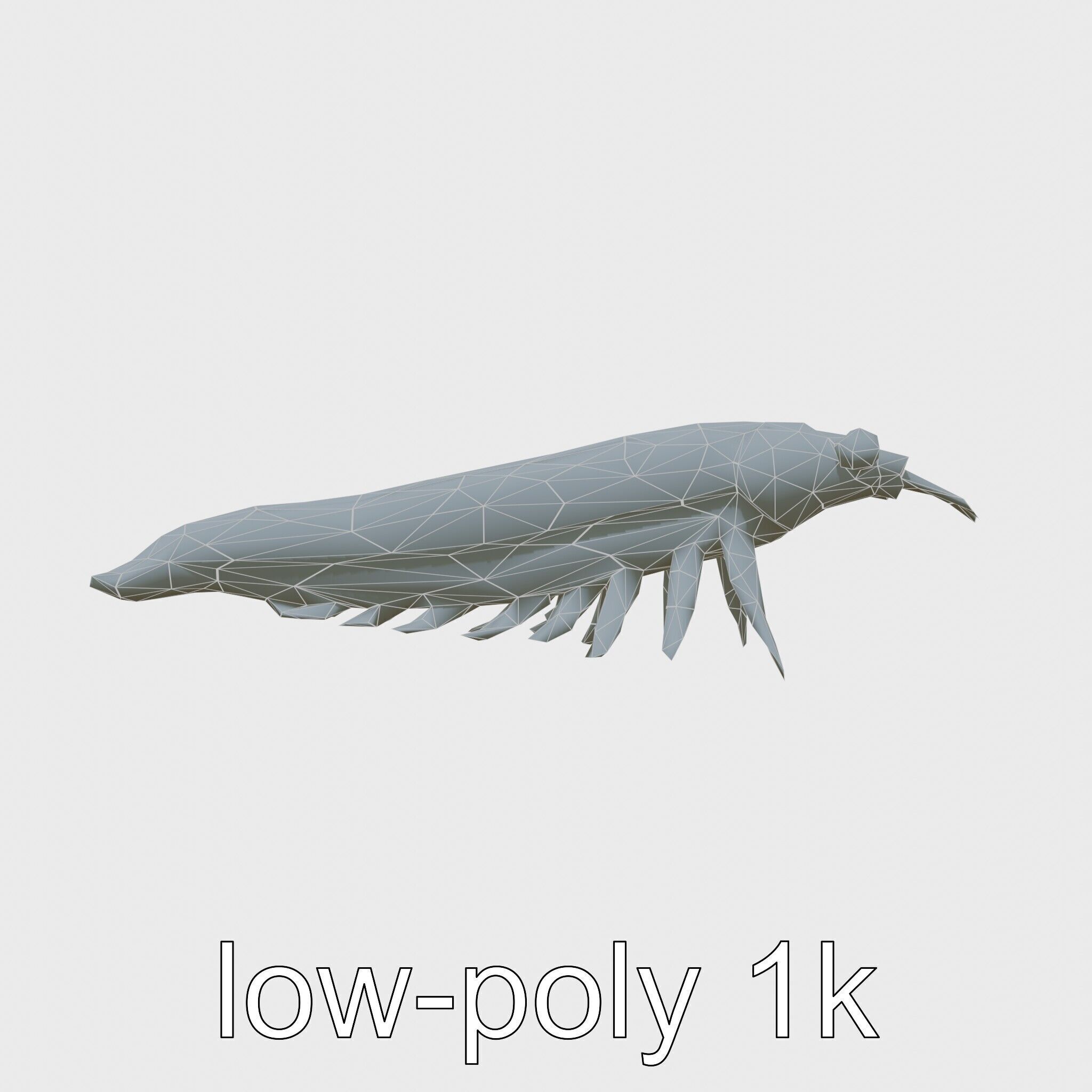 Colorful Marine Flatworm Model with Sensory Tentacles Low-poly 3D model_10