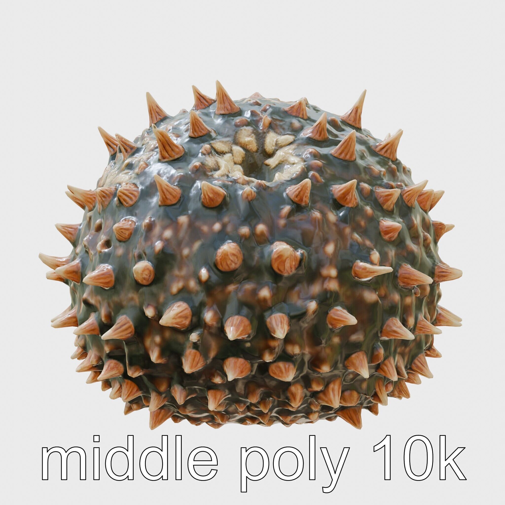 Pencil Urchin Model with Cylindrical Spines Low-poly 3D model_2