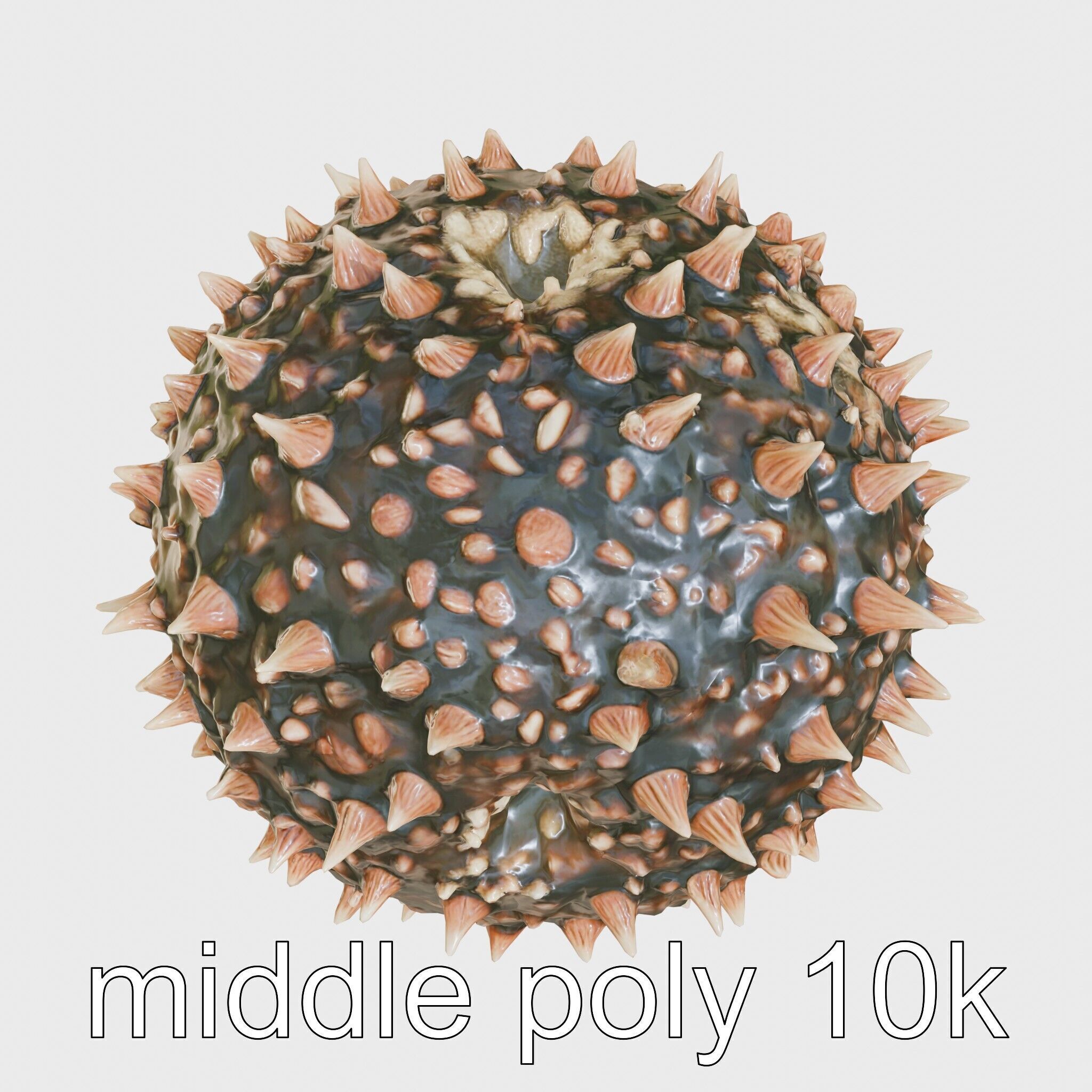Pencil Urchin Model with Cylindrical Spines Low-poly 3D model_26