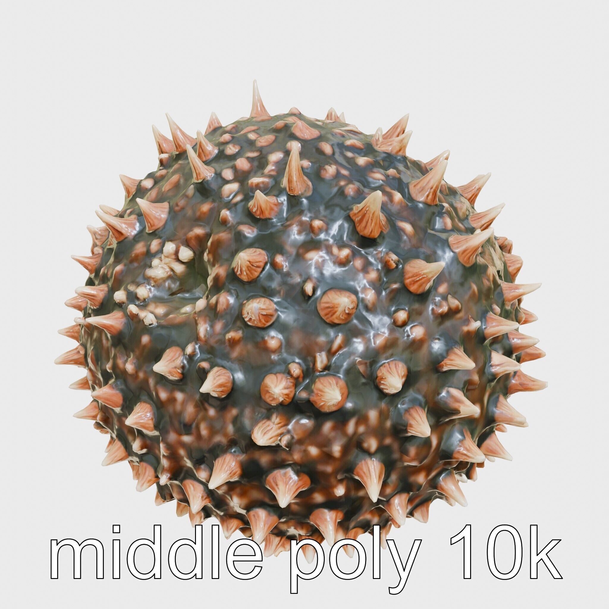 Pencil Urchin Model with Cylindrical Spines Low-poly 3D model_8