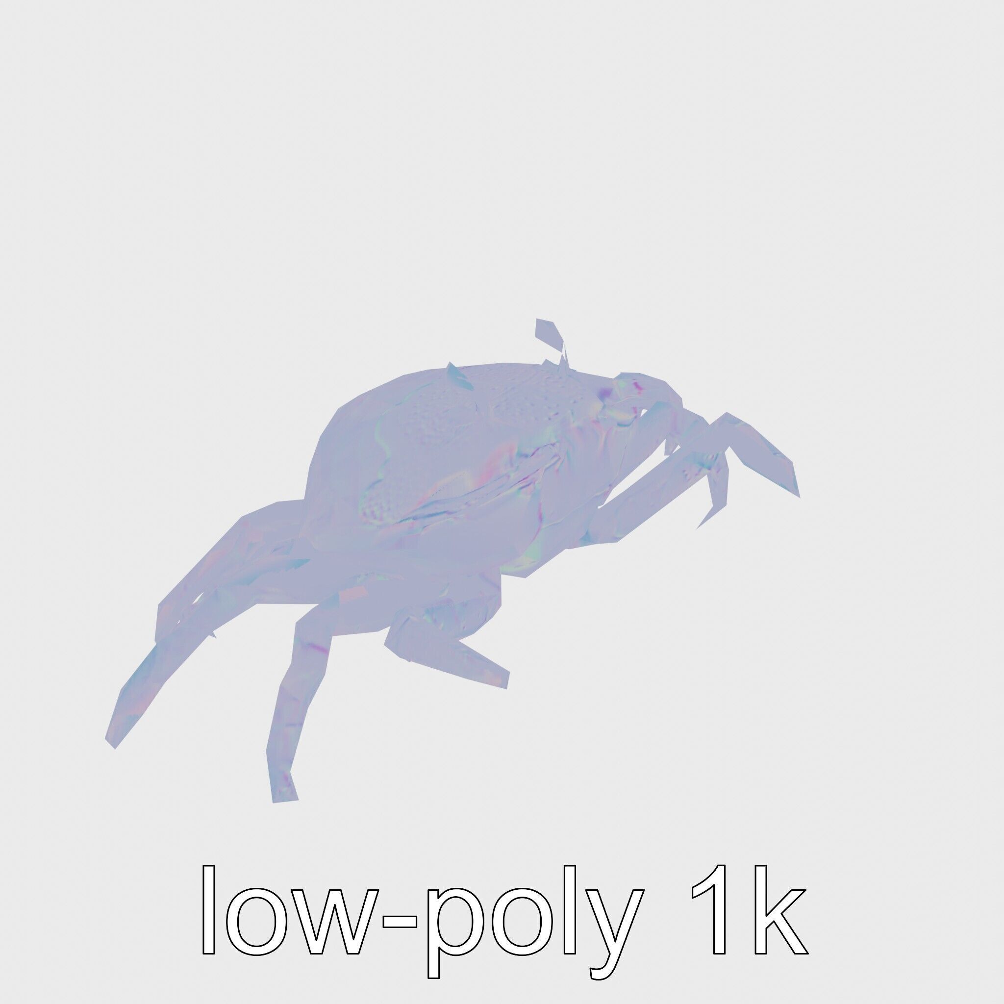 Porcelain Crab 3D Model with Detailed Anatomy Low-poly 3D model_11
