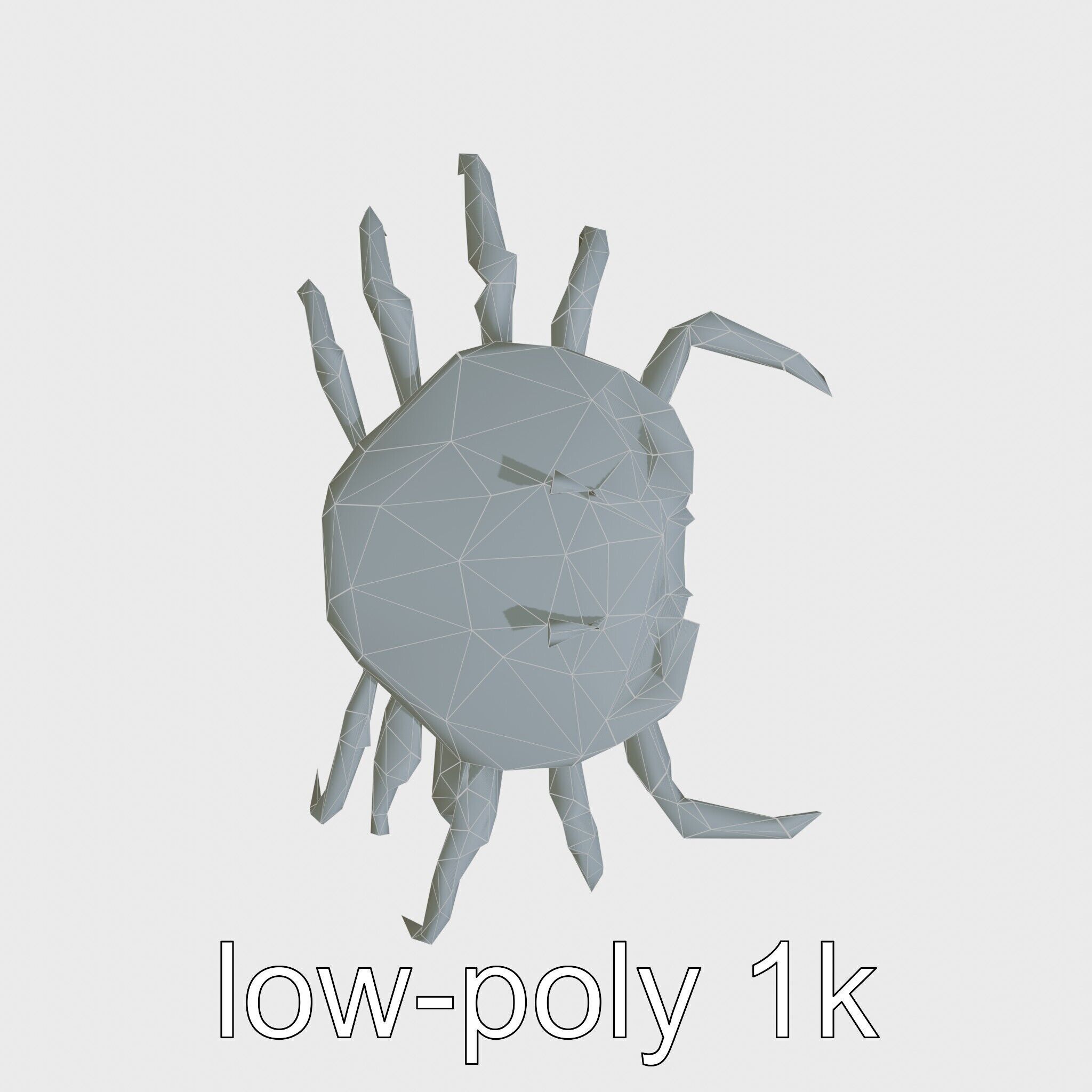 Porcelain Crab 3D Model with Detailed Anatomy Low-poly 3D model_14