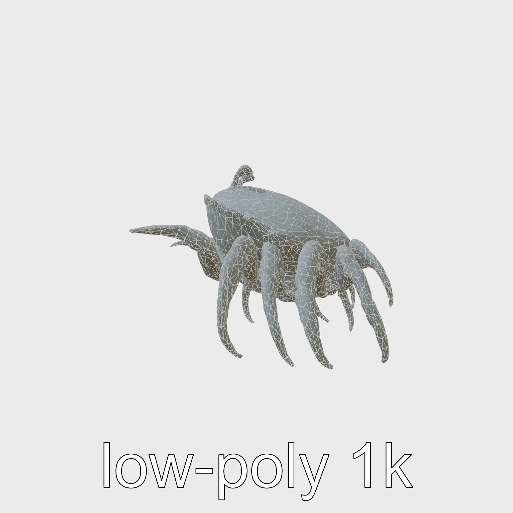 Porcelain Crab 3D Model with Detailed Anatomy Low-poly 3D model_6