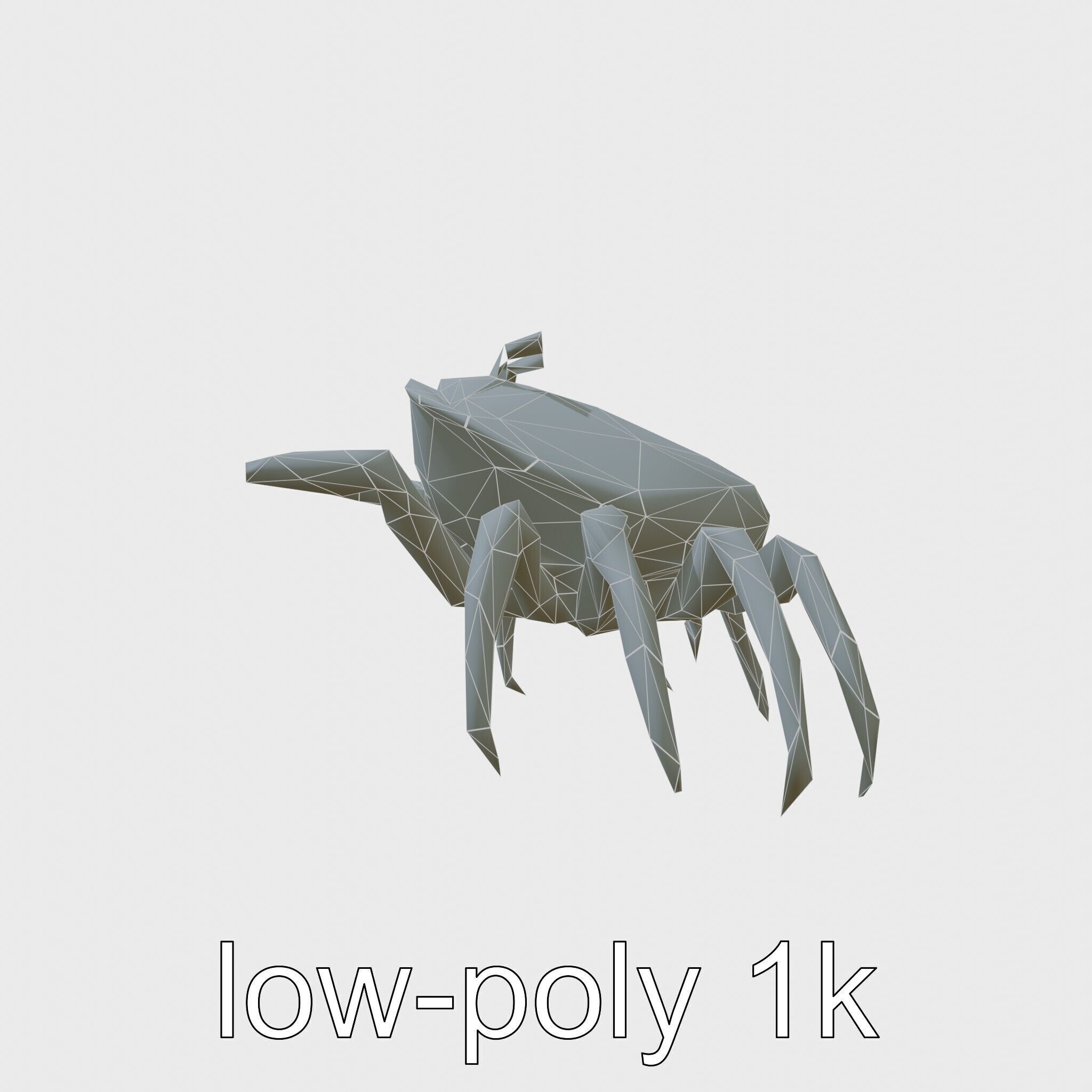 Porcelain Crab 3D Model with Detailed Anatomy Low-poly 3D model_18