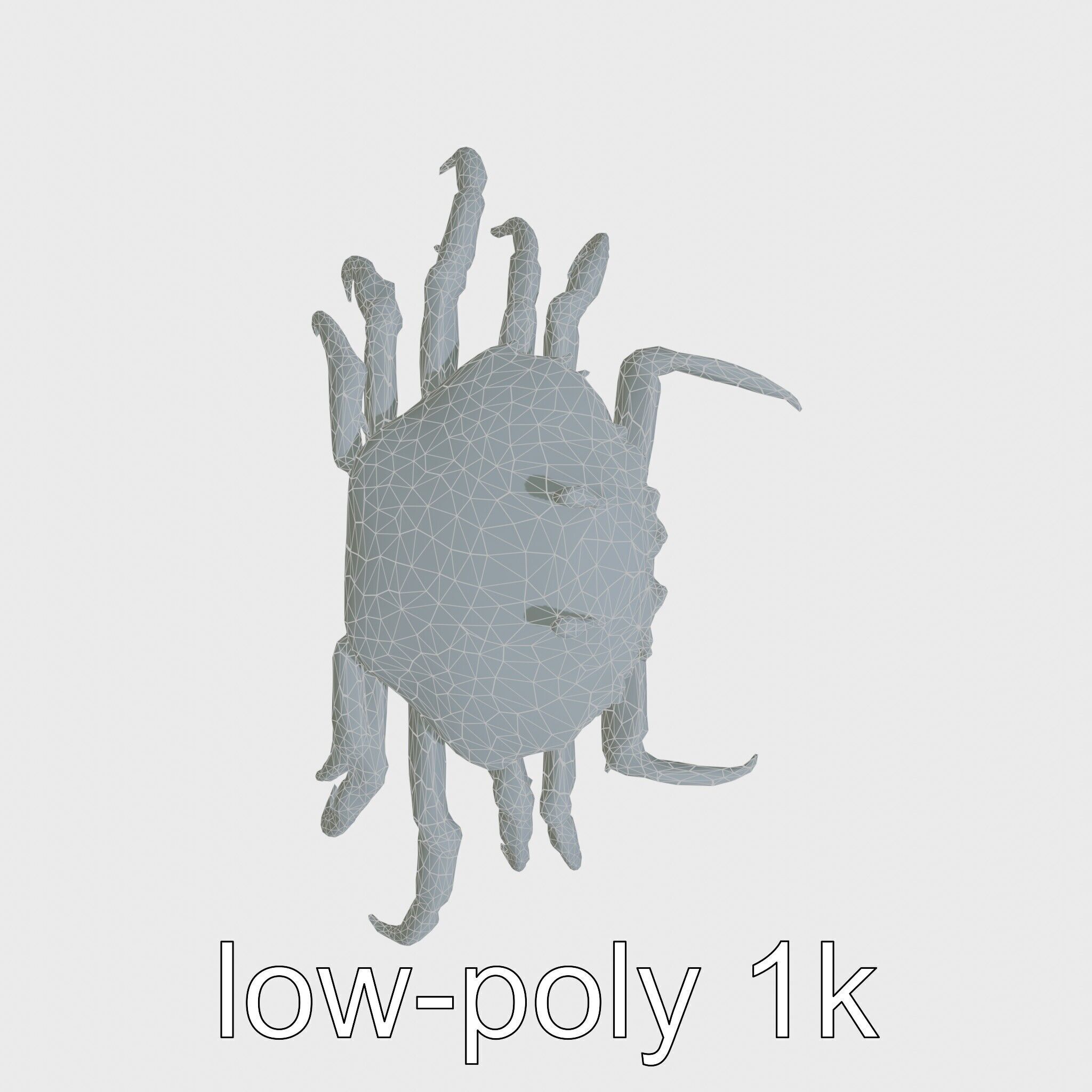 Porcelain Crab 3D Model with Detailed Anatomy Low-poly 3D model_25