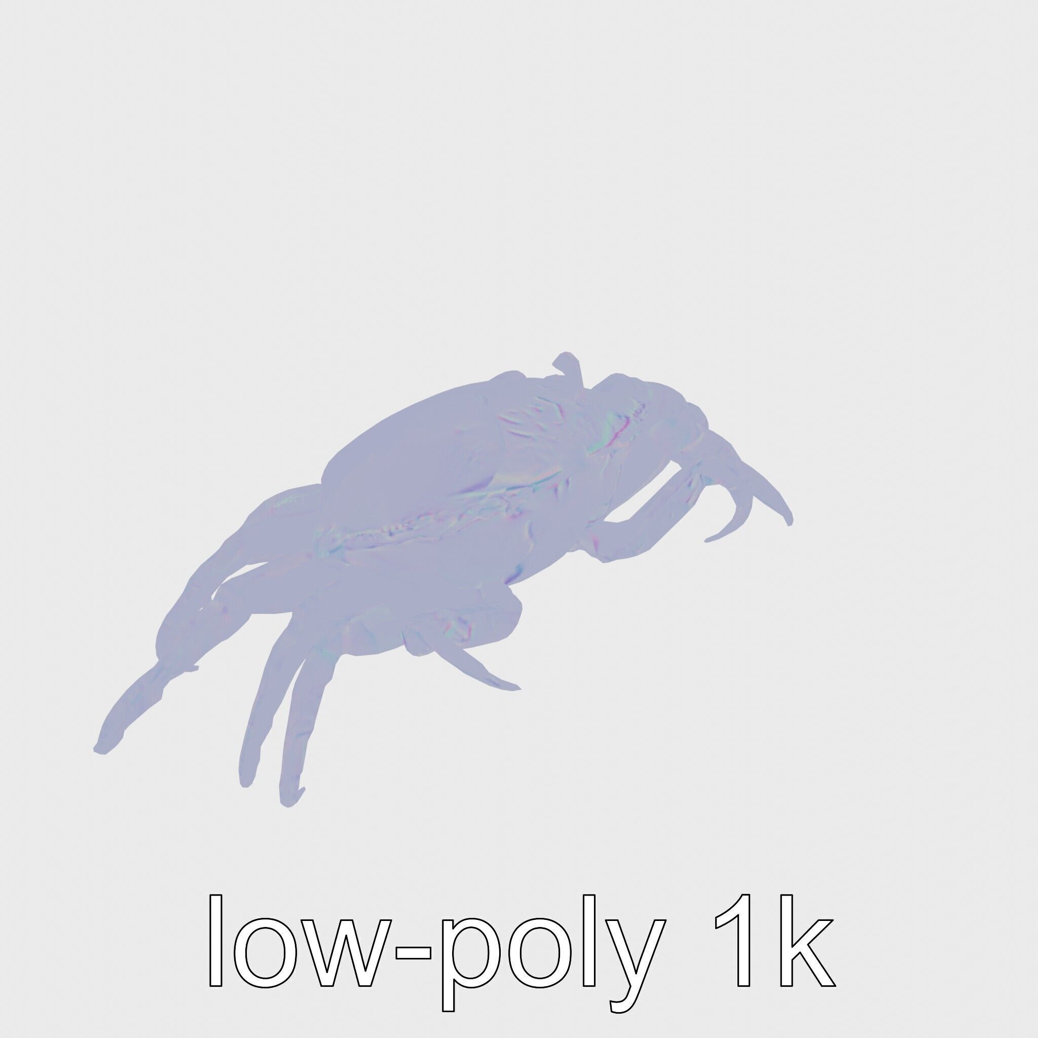 Porcelain Crab 3D Model with Detailed Anatomy Low-poly 3D model_12