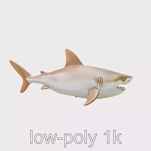 Cookiecutter Shark Detailed Model Low-poly 3D model