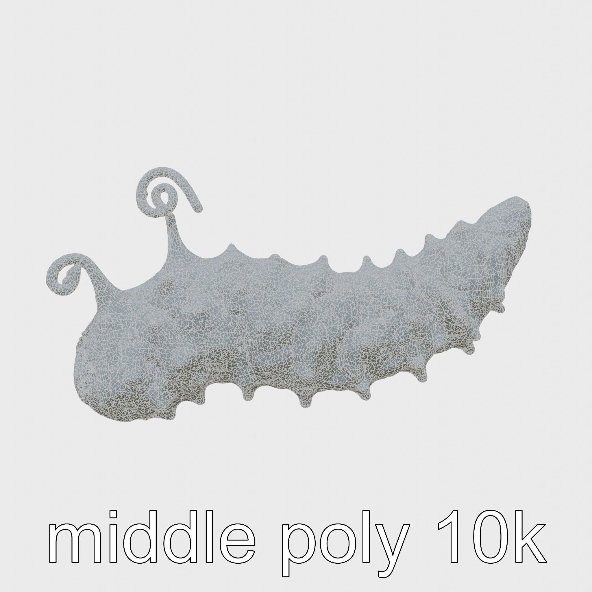 Christmas Tree Worm 3D Model with Spiral-Shaped Crowns Low-poly 3D model_5