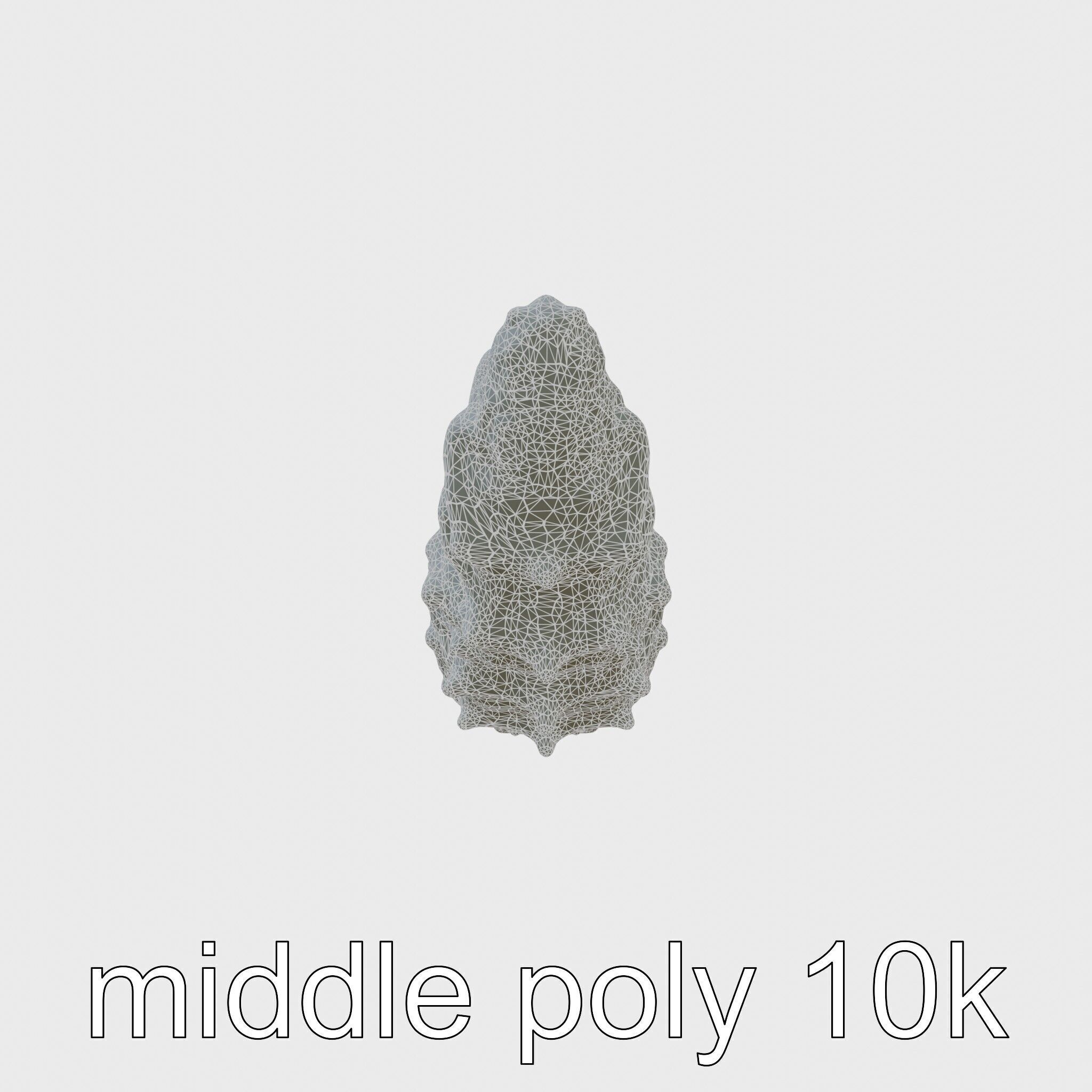 Christmas Tree Worm 3D Model with Spiral-Shaped Crowns Low-poly 3D model_28