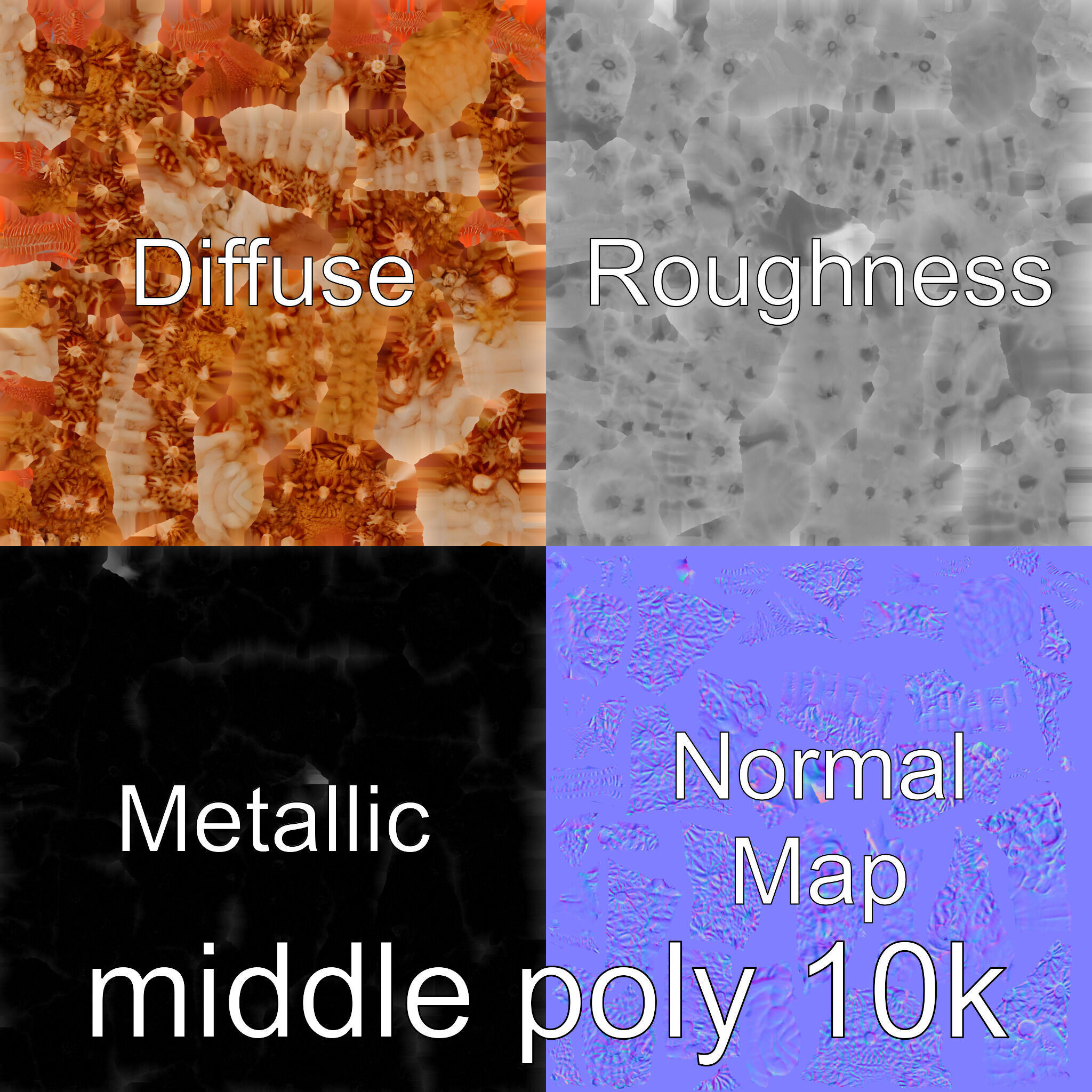 Christmas Tree Worm 3D Model with Spiral-Shaped Crowns Low-poly 3D model_17