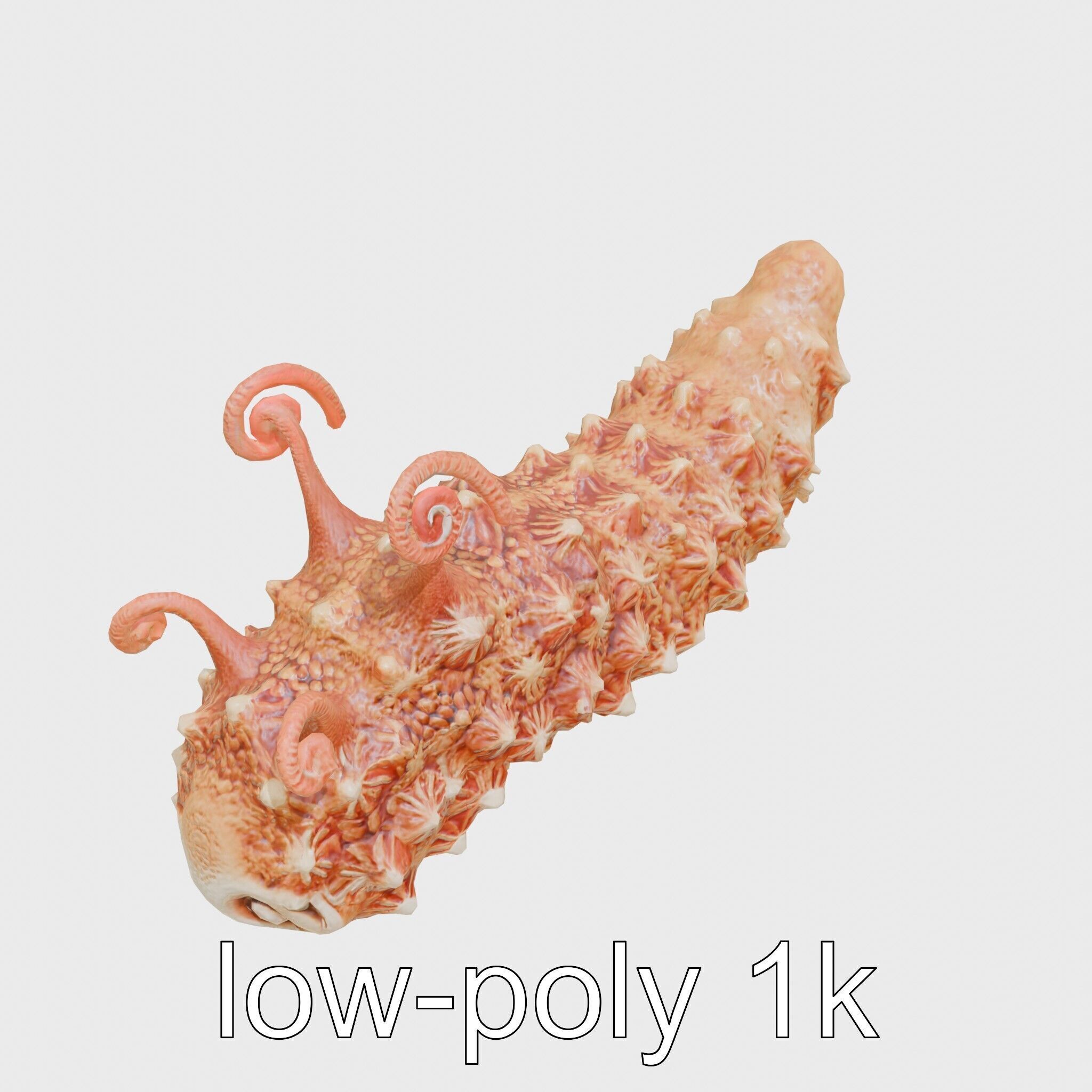 Christmas Tree Worm 3D Model with Spiral-Shaped Crowns Low-poly 3D model_25