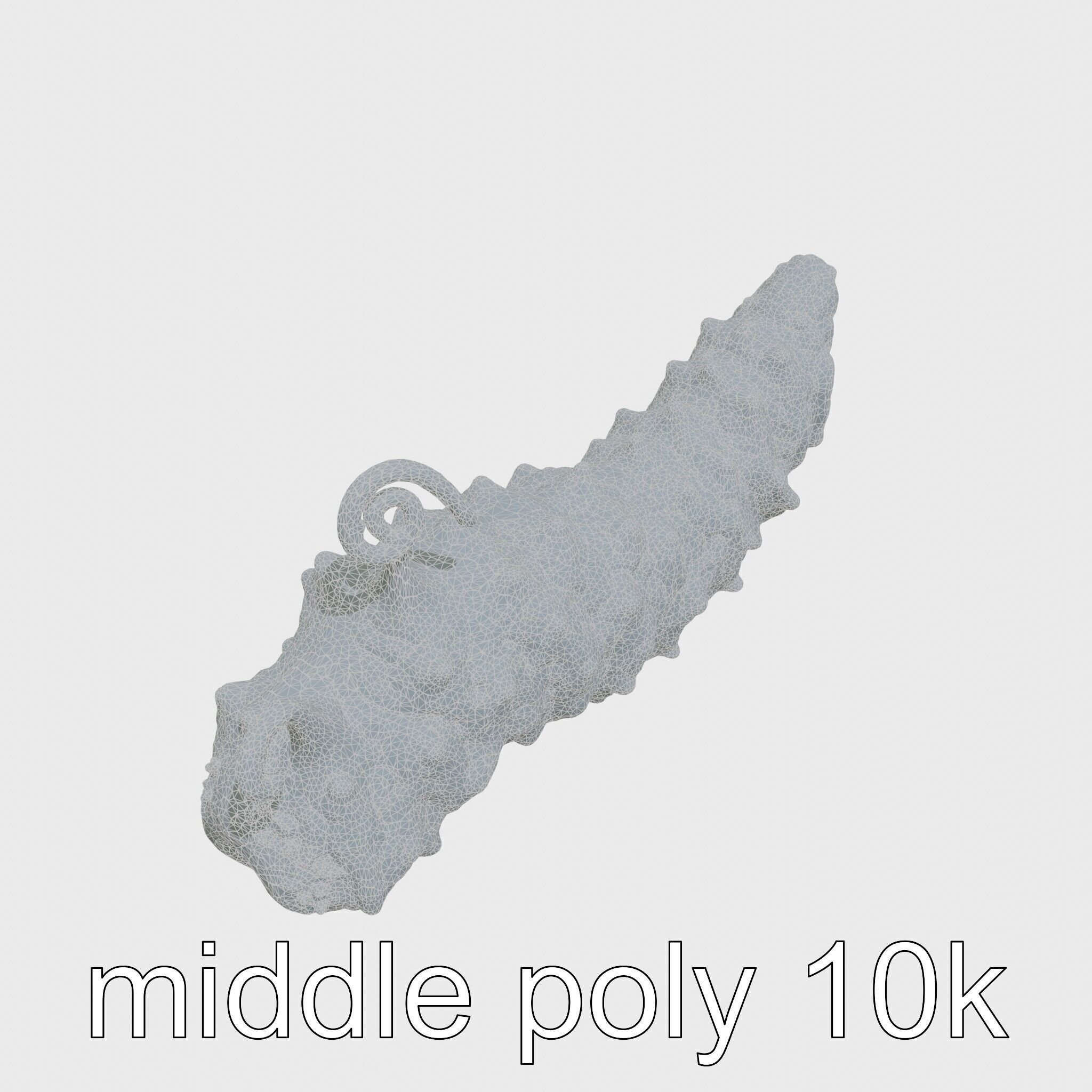 Christmas Tree Worm 3D Model with Spiral-Shaped Crowns Low-poly 3D model_26