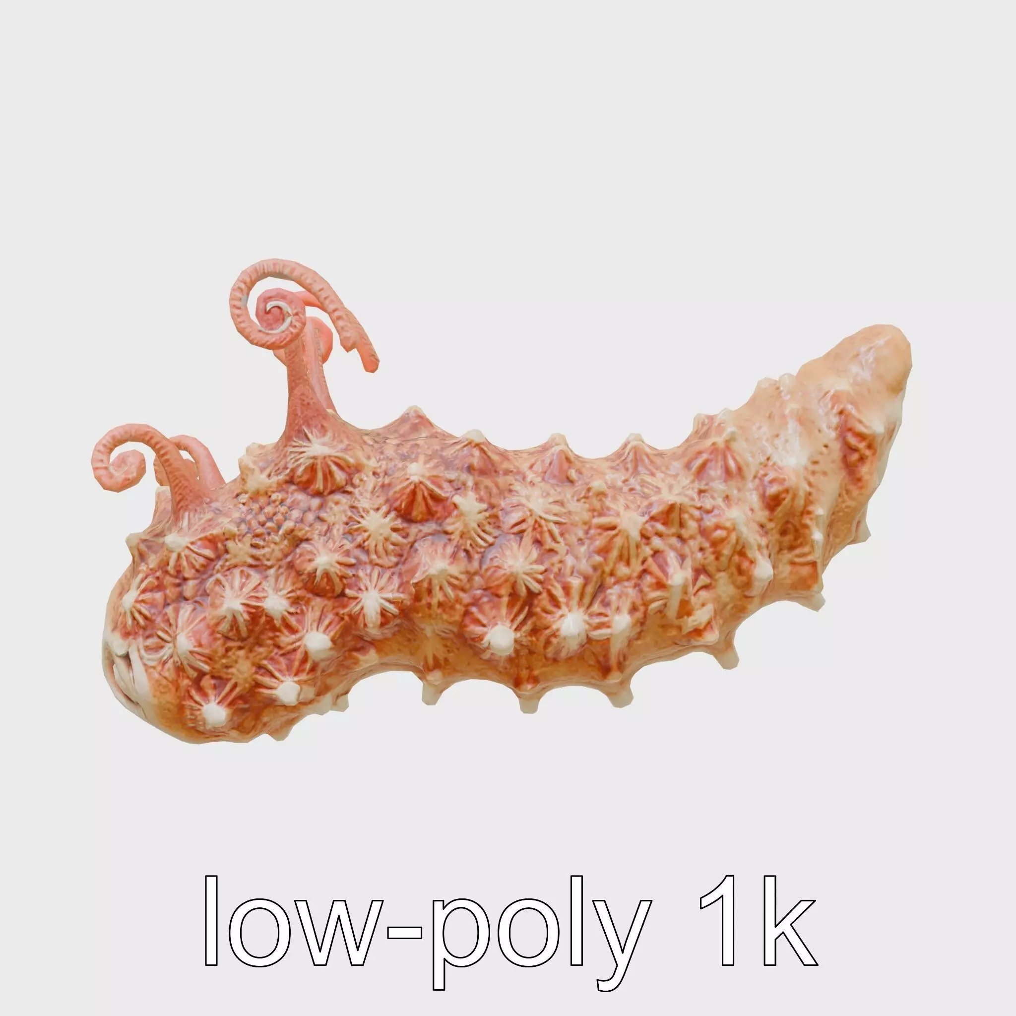 Christmas Tree Worm 3D Model with Spiral-Shaped Crowns Low-poly 3D model_0