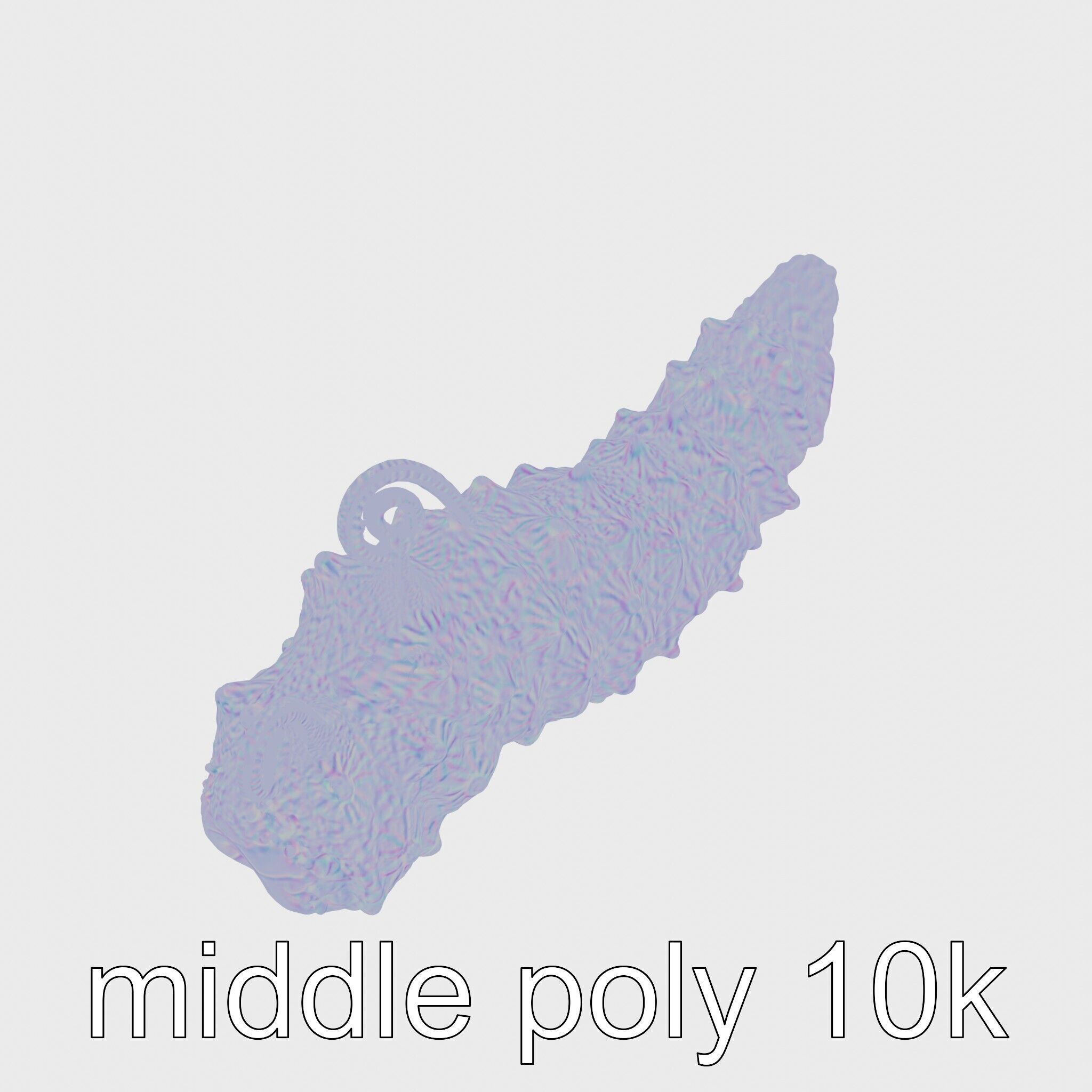 Christmas Tree Worm 3D Model with Spiral-Shaped Crowns Low-poly 3D model_14