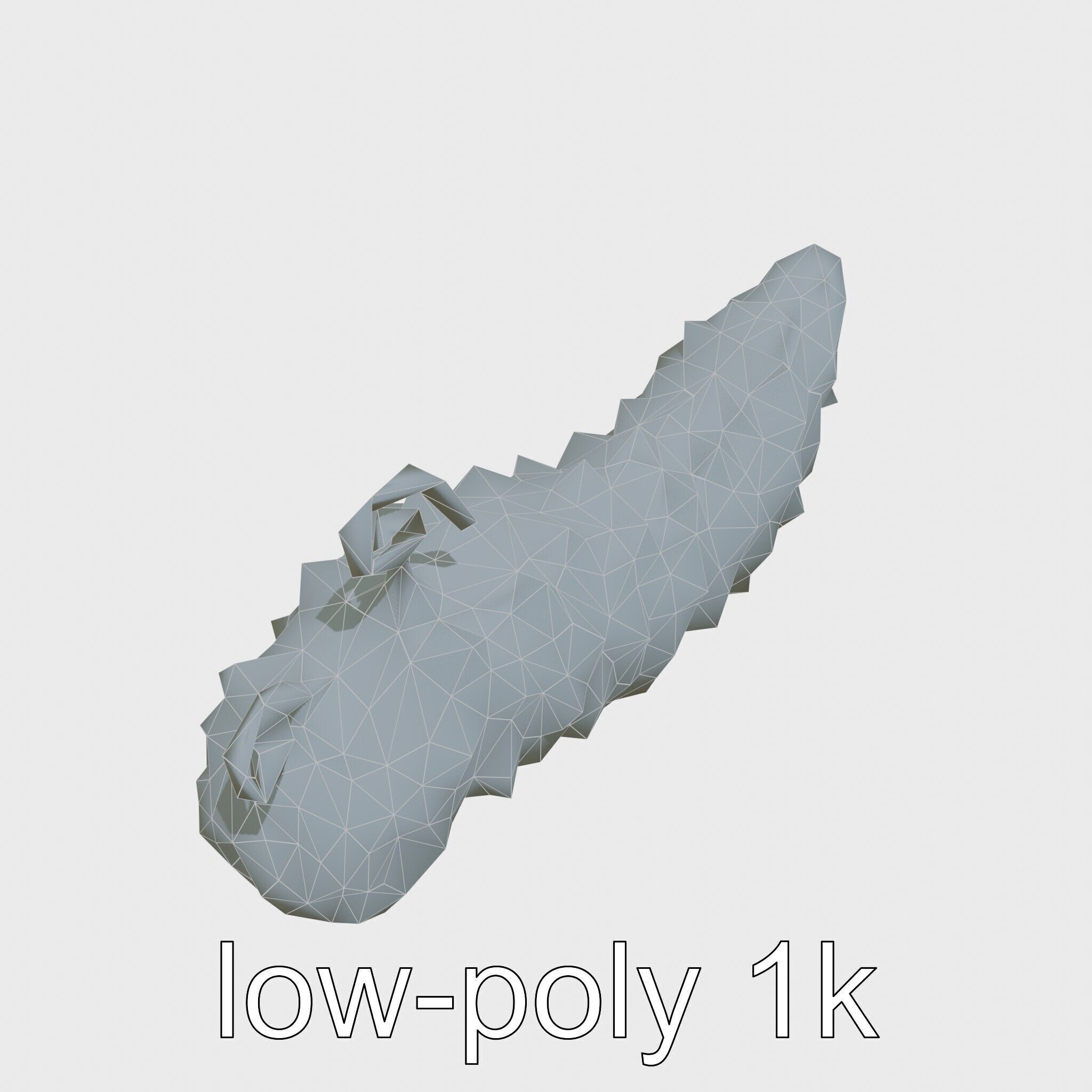 Christmas Tree Worm 3D Model with Spiral-Shaped Crowns Low-poly 3D model_12