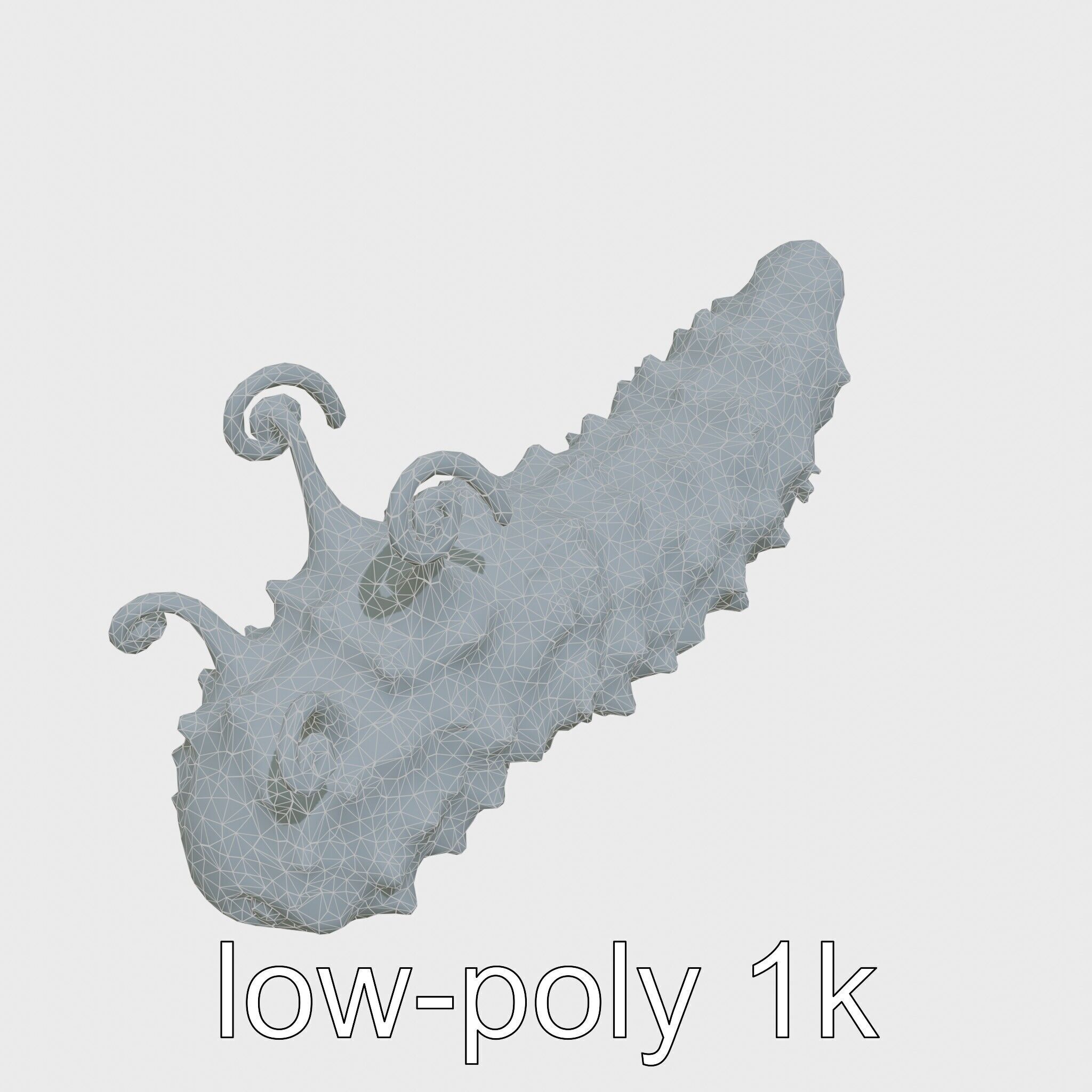 Christmas Tree Worm 3D Model with Spiral-Shaped Crowns Low-poly 3D model_21