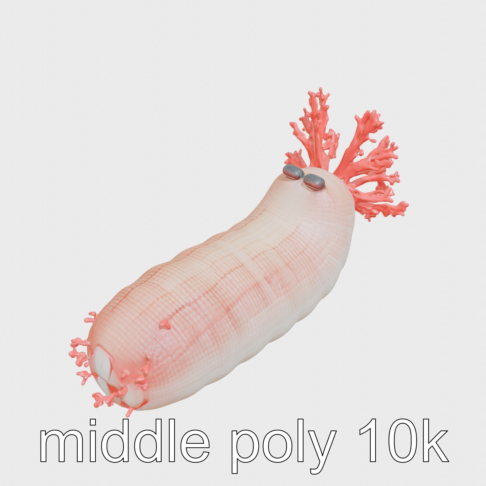 Giant Tube Worm with Red Plume and Bacteria Model Low-poly 3D model_8