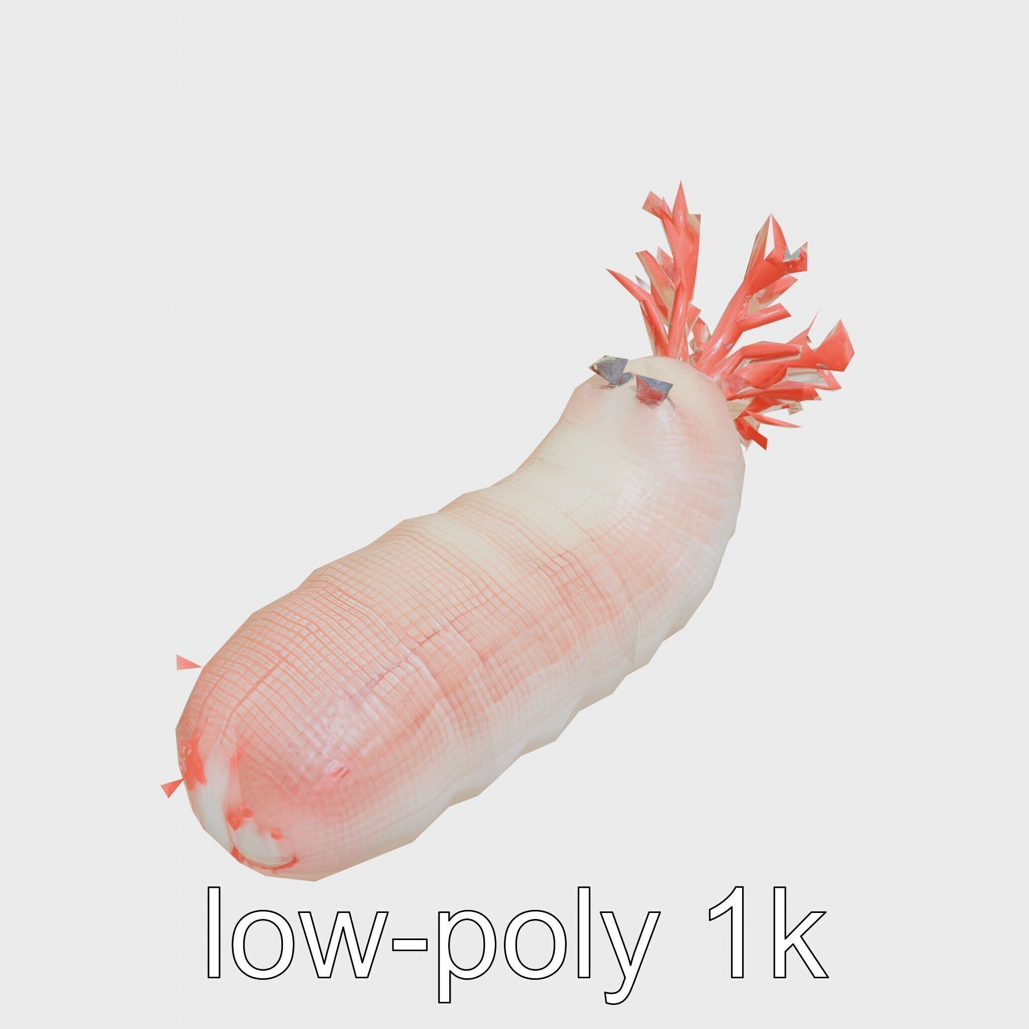Giant Tube Worm with Red Plume and Bacteria Model Low-poly 3D model_10