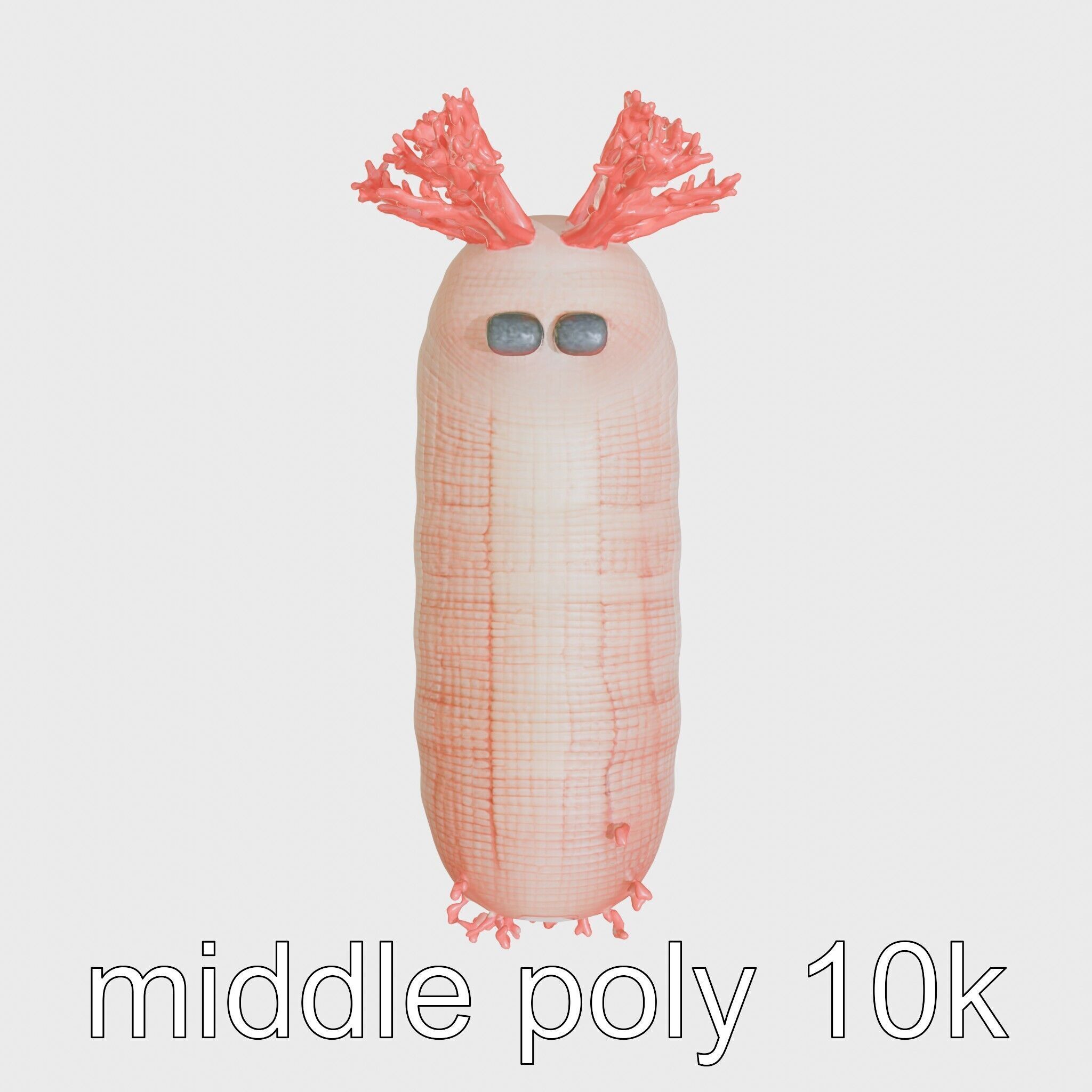 Giant Tube Worm with Red Plume and Bacteria Model Low-poly 3D model_16