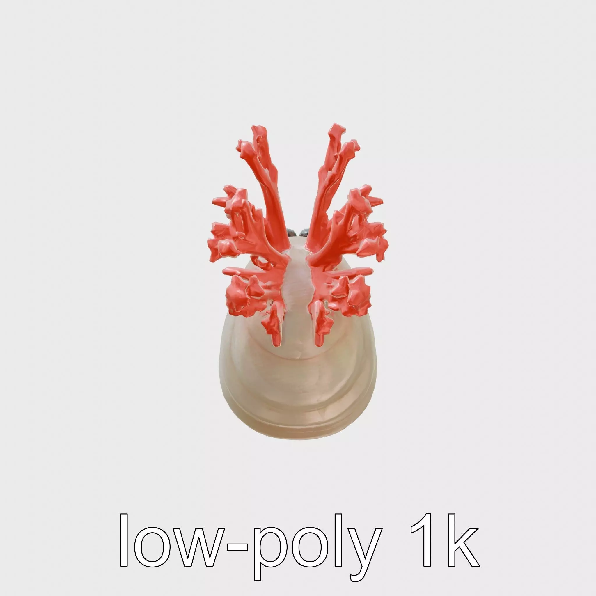Giant Tube Worm with Red Plume and Bacteria Model Low-poly 3D model_0