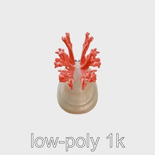 Giant Tube Worm with Red Plume and Bacteria Model Low-poly 3D model