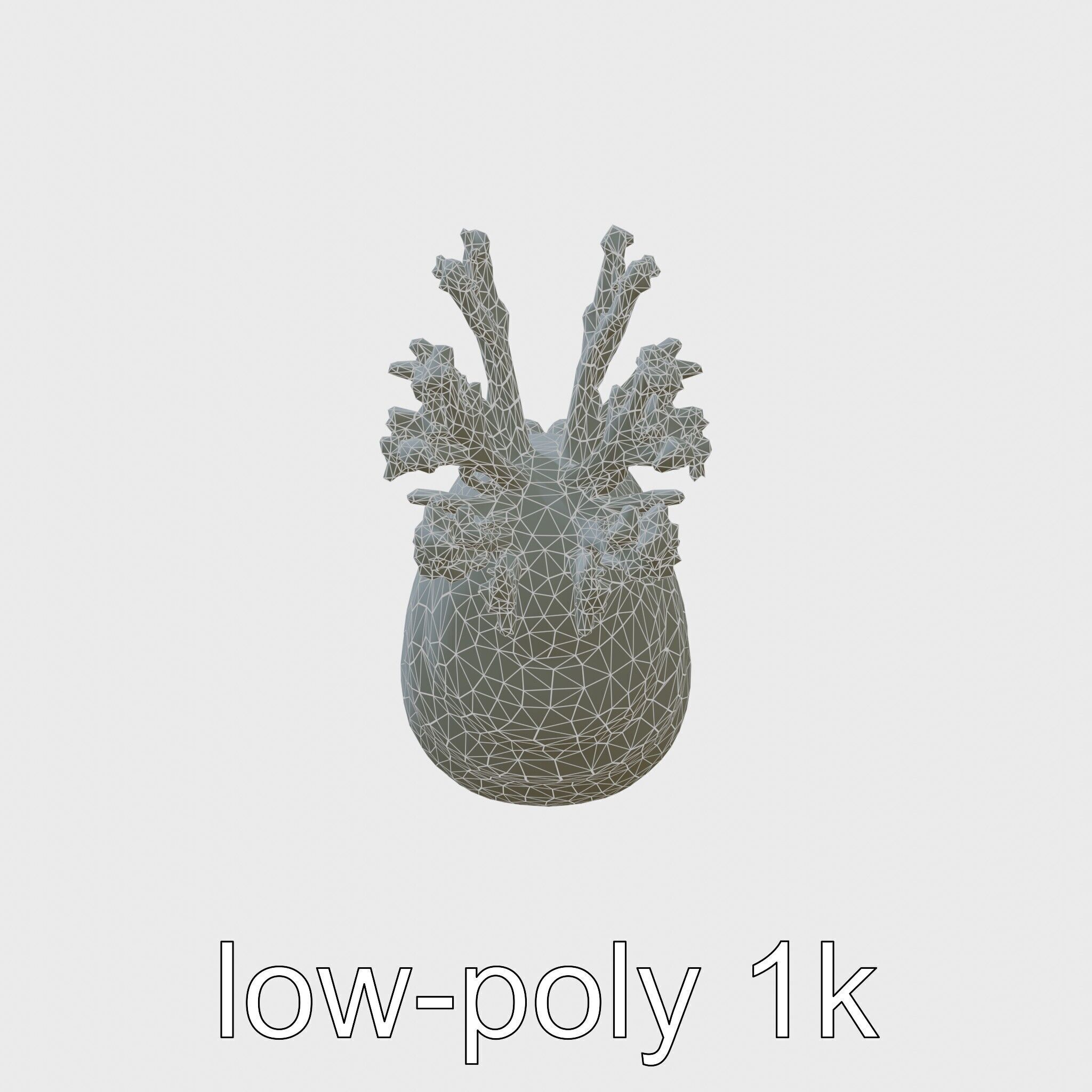 Giant Tube Worm with Red Plume and Bacteria Model Low-poly 3D model_6