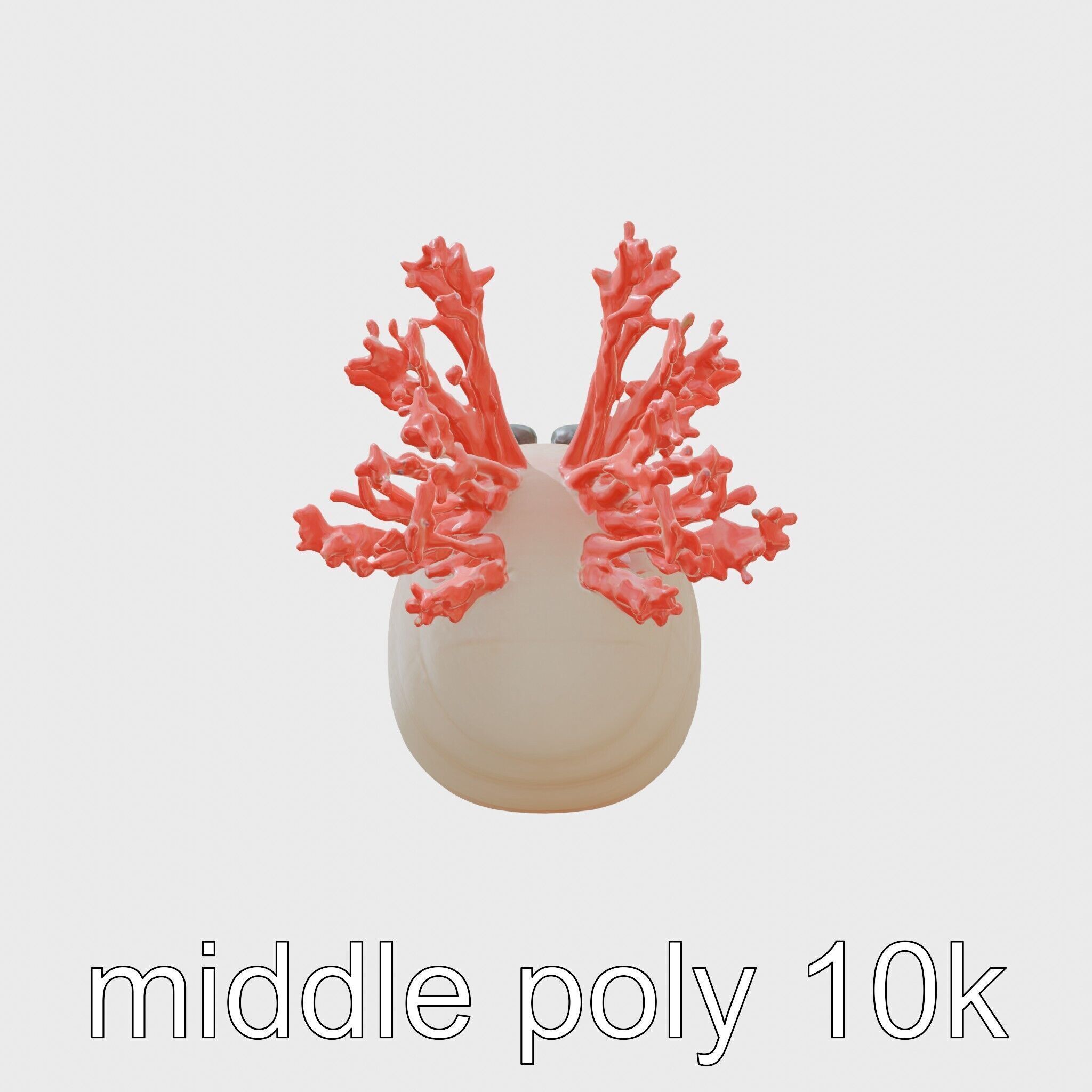 Giant Tube Worm with Red Plume and Bacteria Model Low-poly 3D model_2