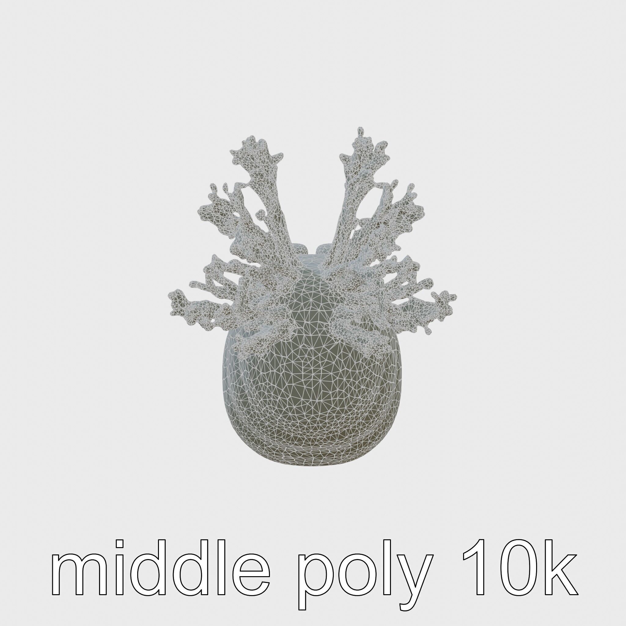 Giant Tube Worm with Red Plume and Bacteria Model Low-poly 3D model_5