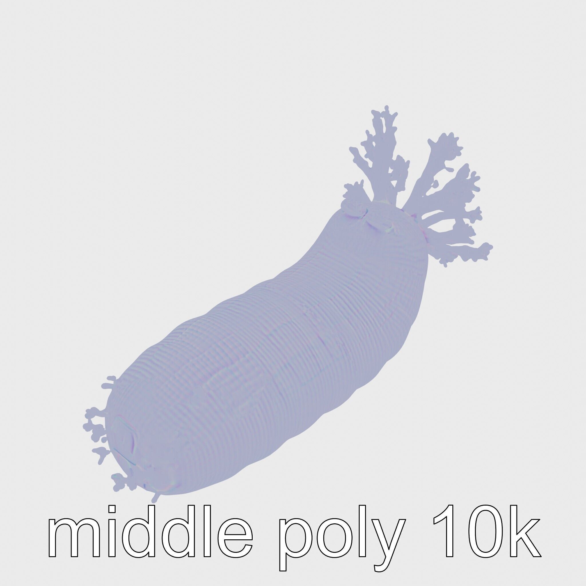 Giant Tube Worm with Red Plume and Bacteria Model Low-poly 3D model_21