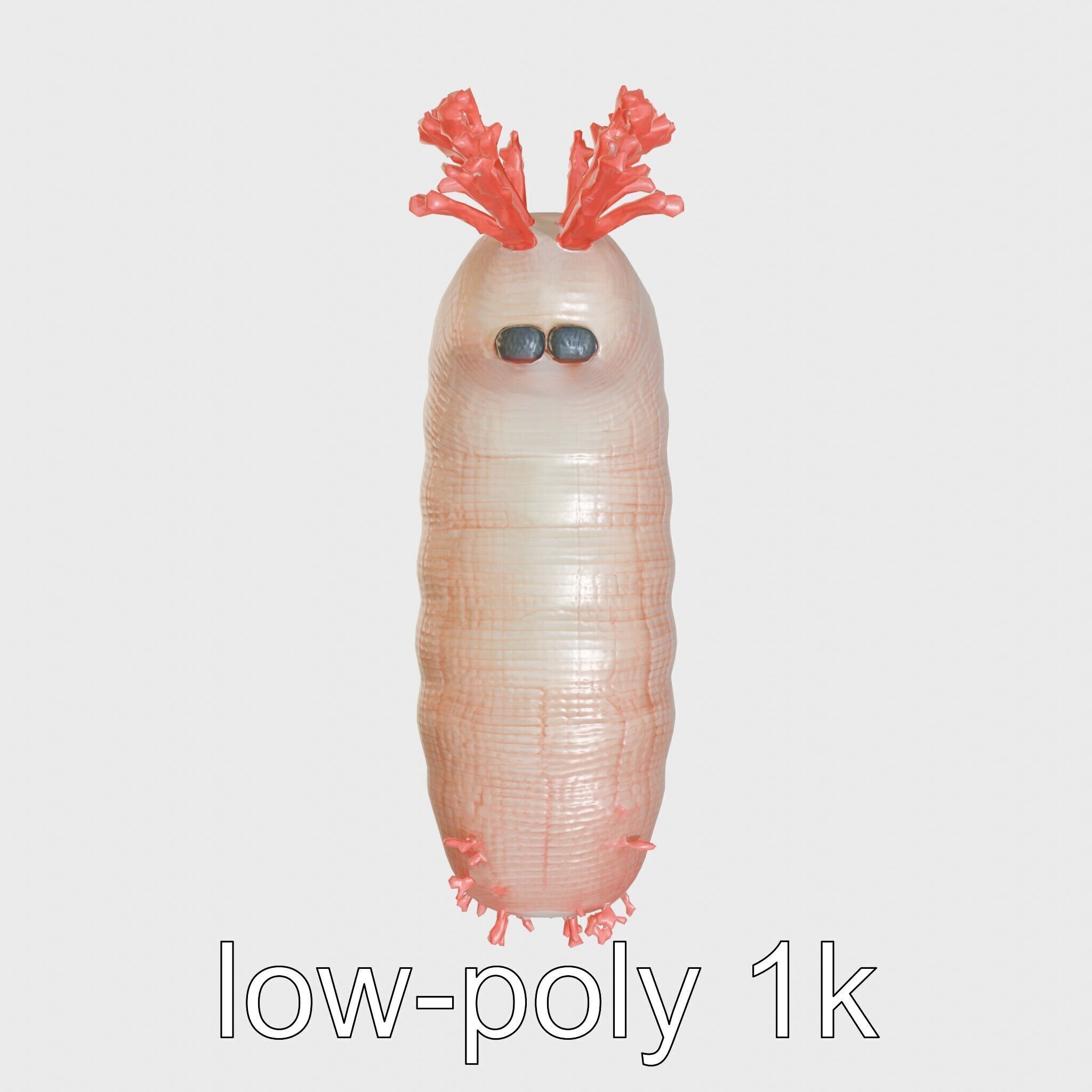 Giant Tube Worm with Red Plume and Bacteria Model Low-poly 3D model_25